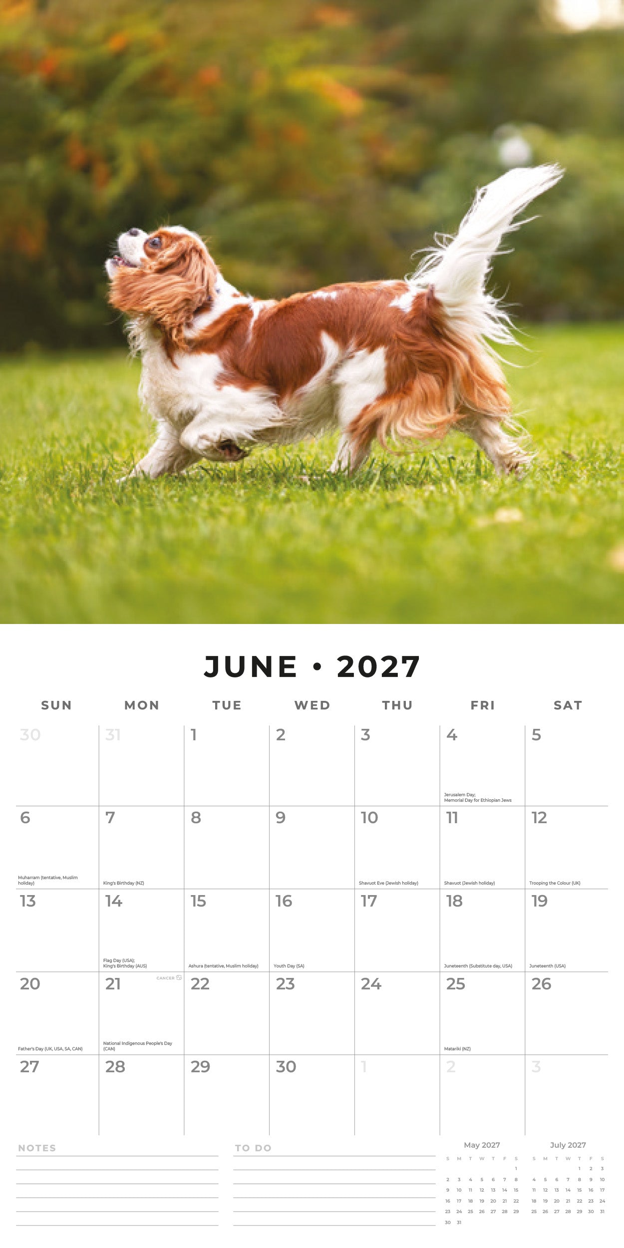 Red Robin 2027 Cavalier King Charles Spaniels Wall Calendar | 12" x 12"