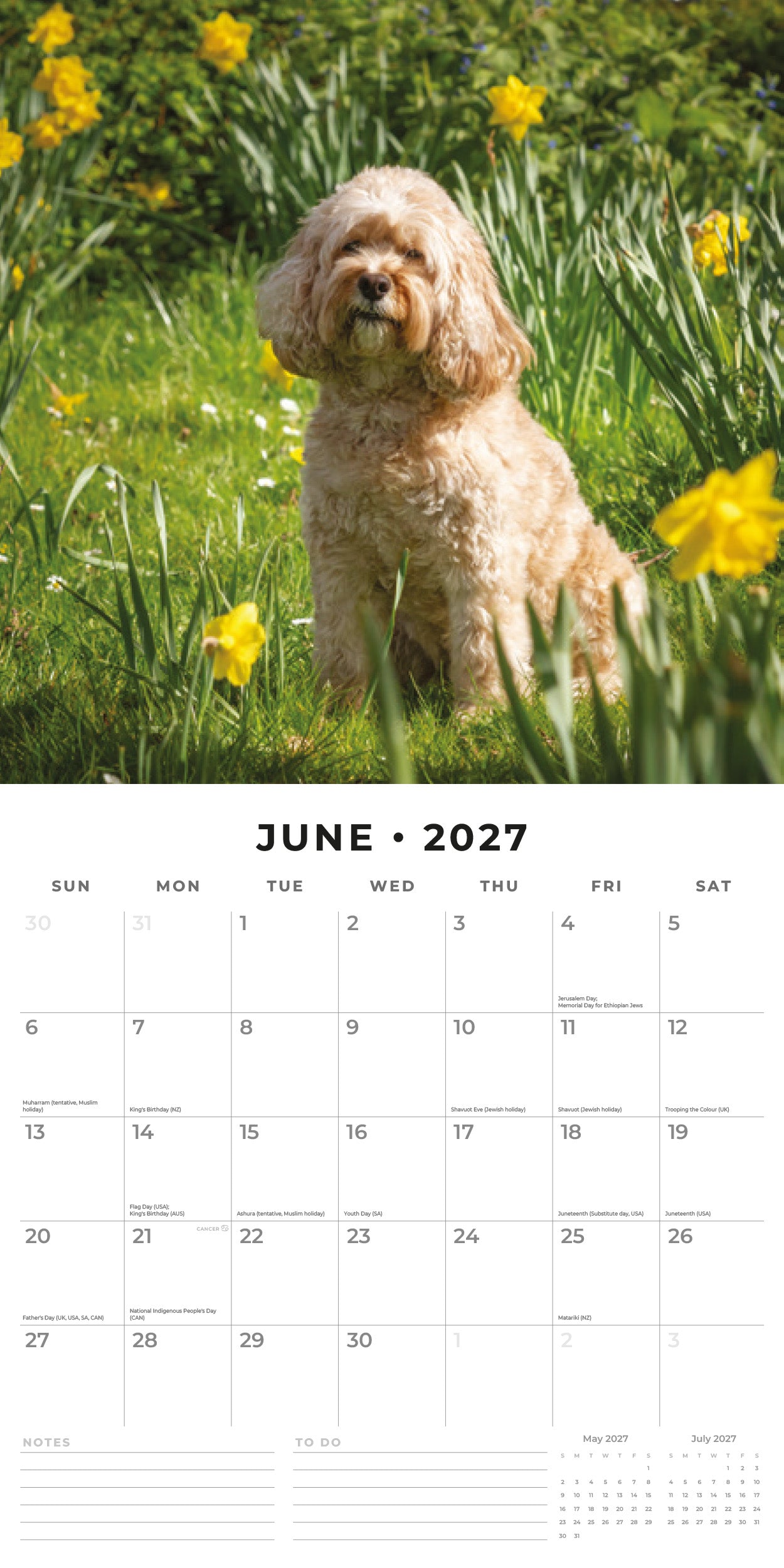 Red Robin 2027 Cavapoos Monthly Wall Calendar | 12" x 12"