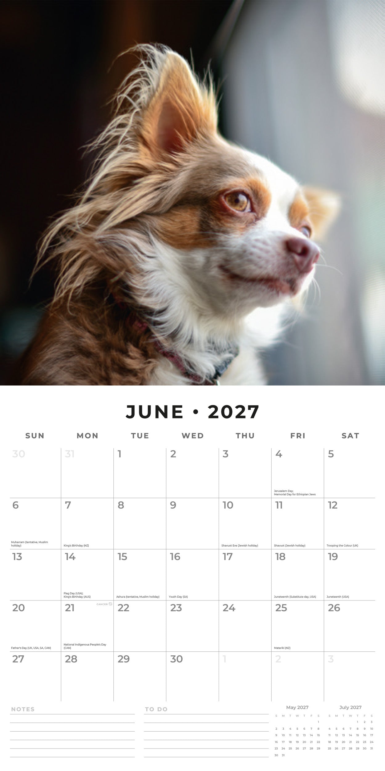 Red Robin 2027 Chihuahuas Monthly Wall Calendar | 12" x 12"