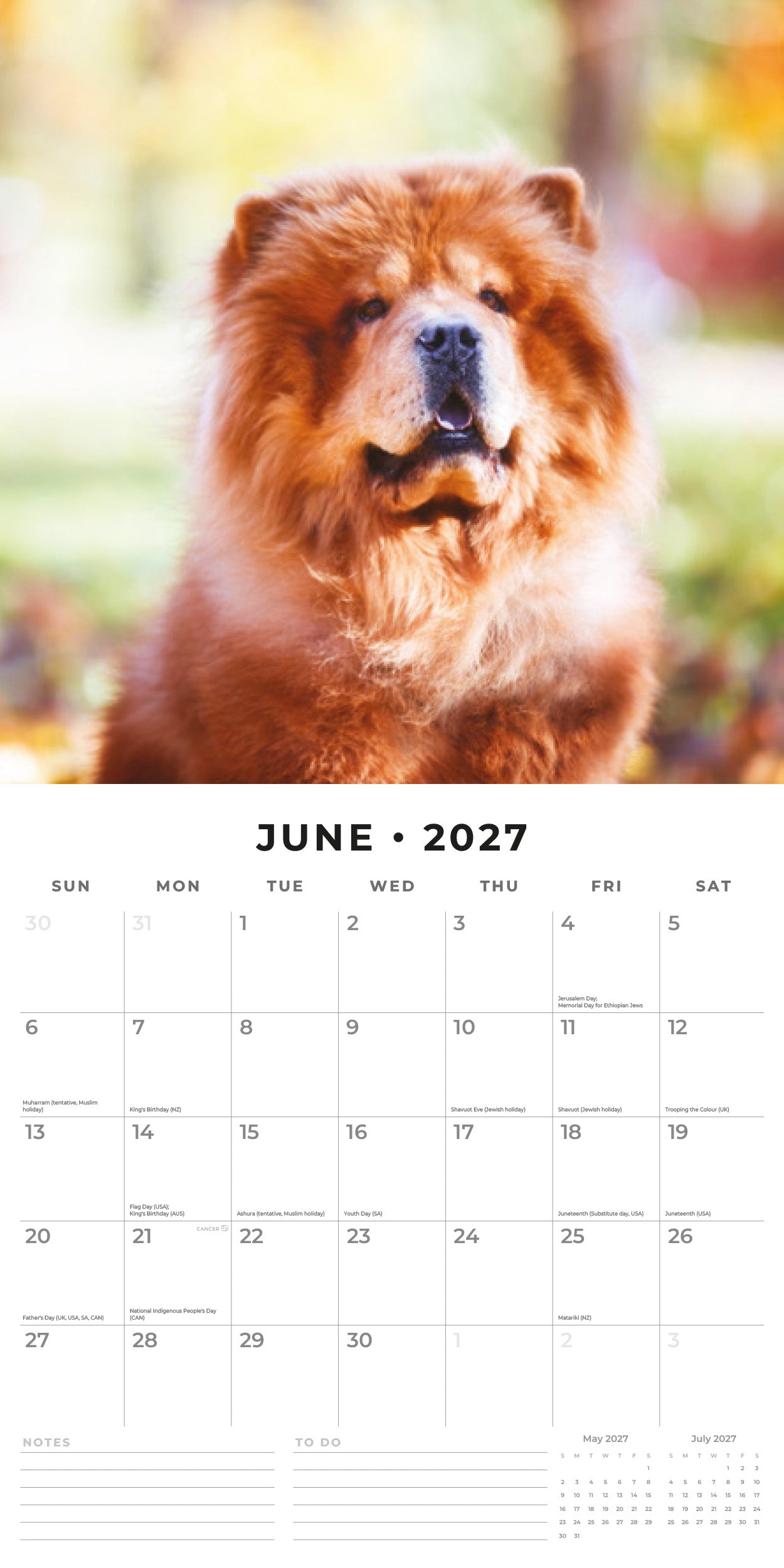 Red Robin 2027 Chow Chows Monthly Wall Calendar | 12" x 12"