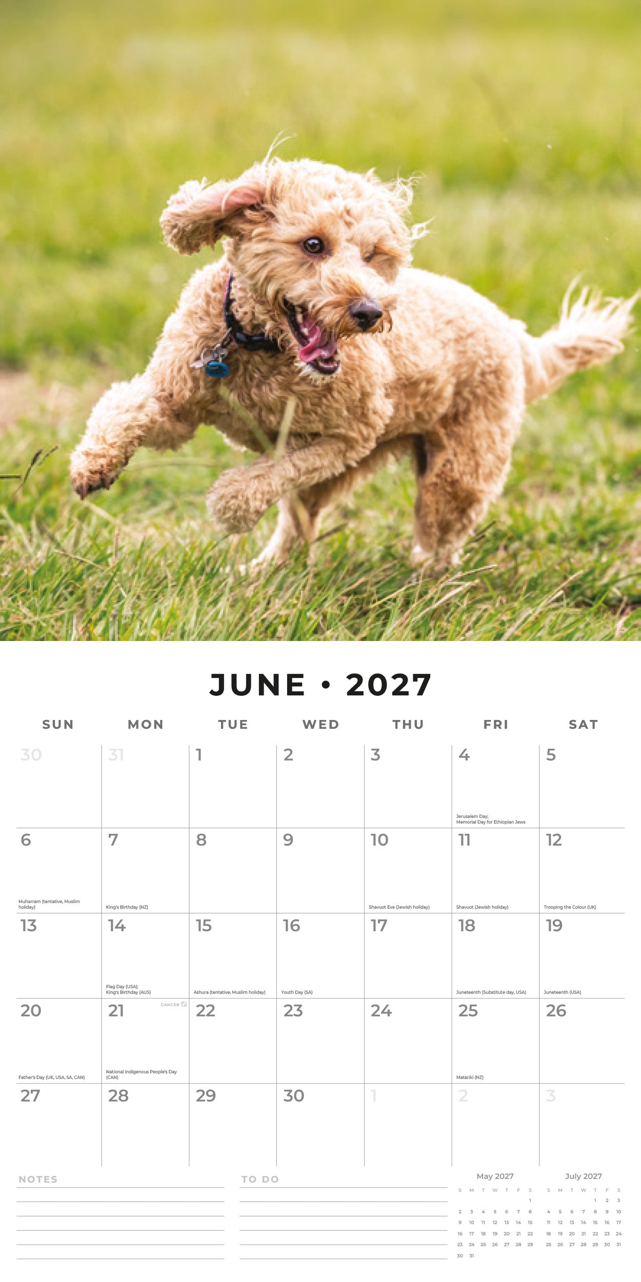 Red Robin 2027 Cockapoos Monthly Wall Calendar | 12" x 12"