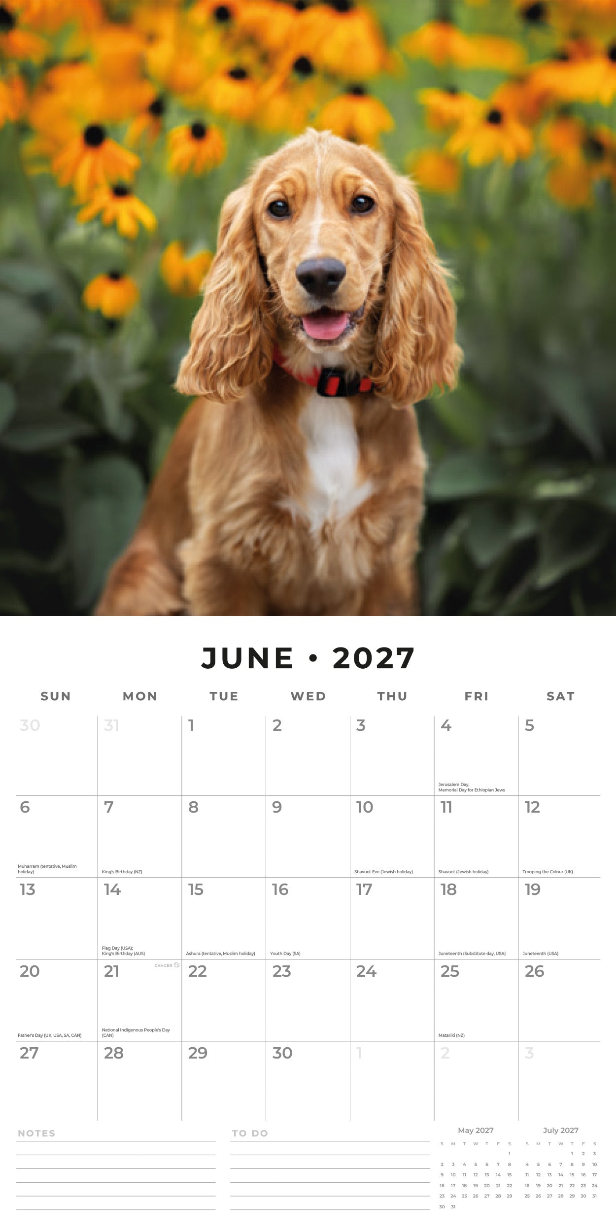 Red Robin 2027 Cocker Spaniels Monthly Wall Calendar | 12" x 12"