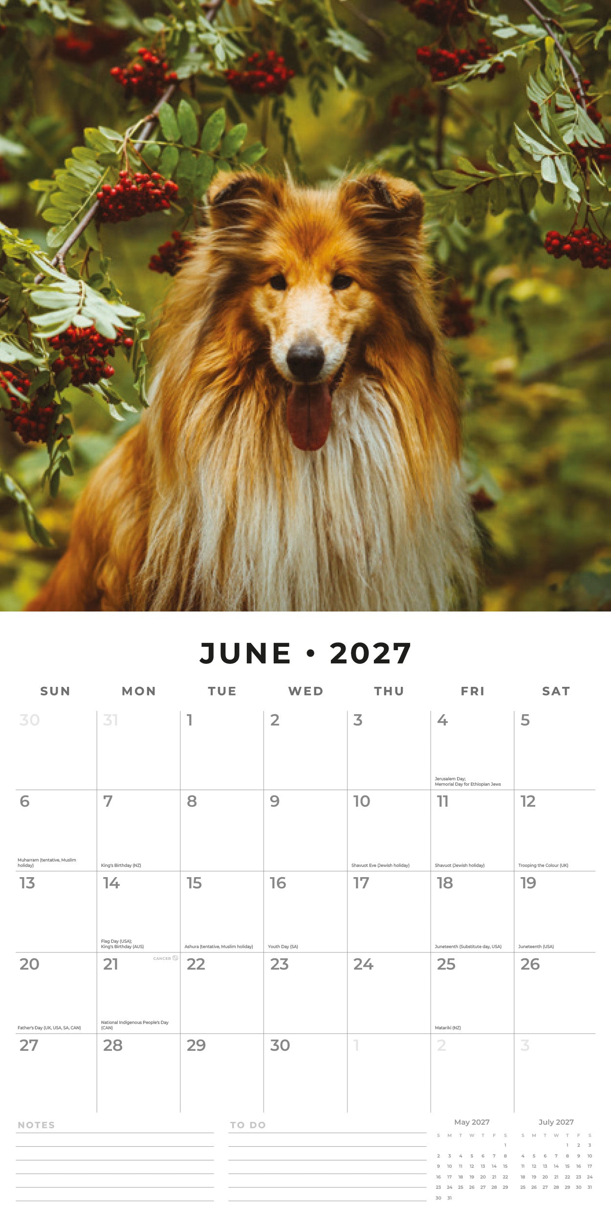 Red Robin 2027 Collies Monthly Wall Calendar | 12" x 12"