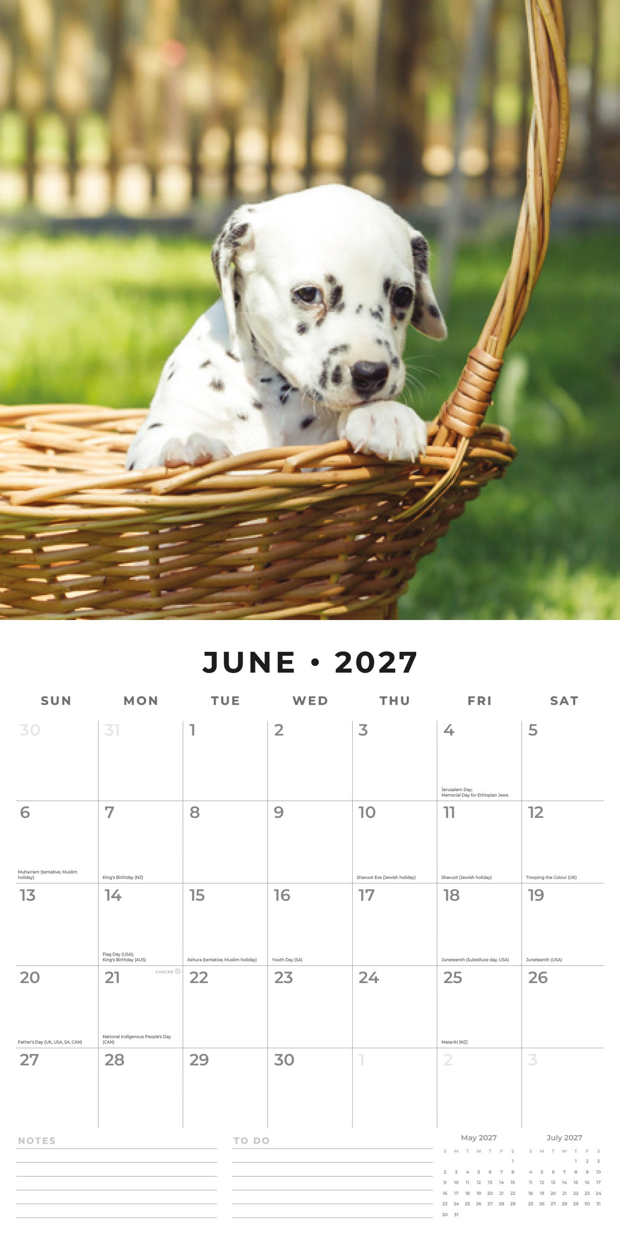 Red Robin 2027 Dalmatian Puppies Monthly Wall Calendar | 12" x 12"