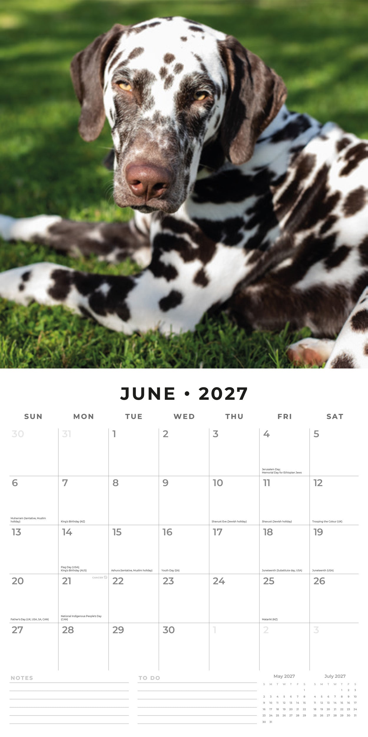 Red Robin 2027 Dalmatians Monthly Wall Calendar | 12" x 12"