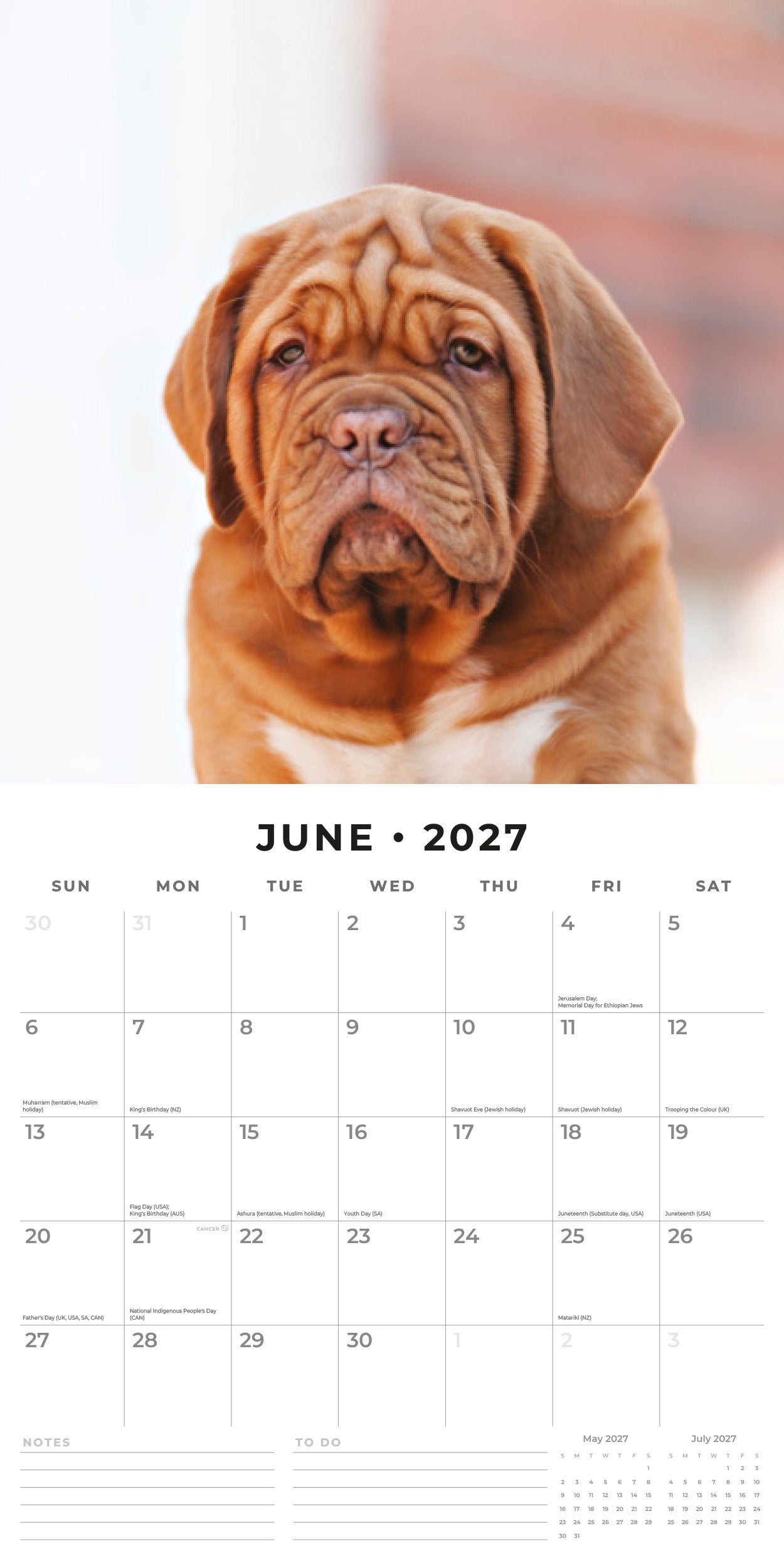 Red Robin 2027 Dogues de Bordeaux Monthly Wall Calendar | 12" x 12"