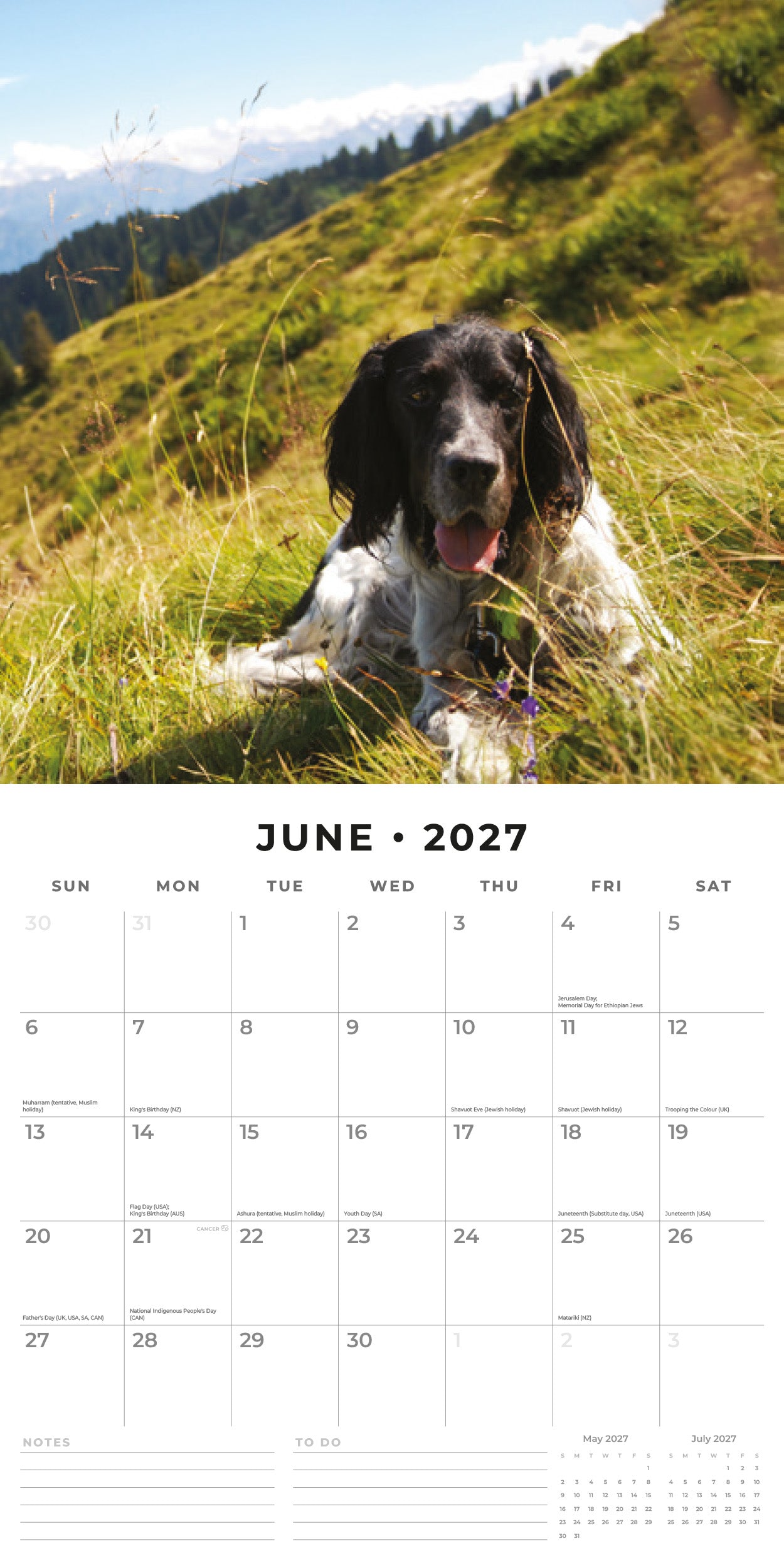 Red Robin 2027 English Setters Monthly Wall Calendar | 12" x 12"