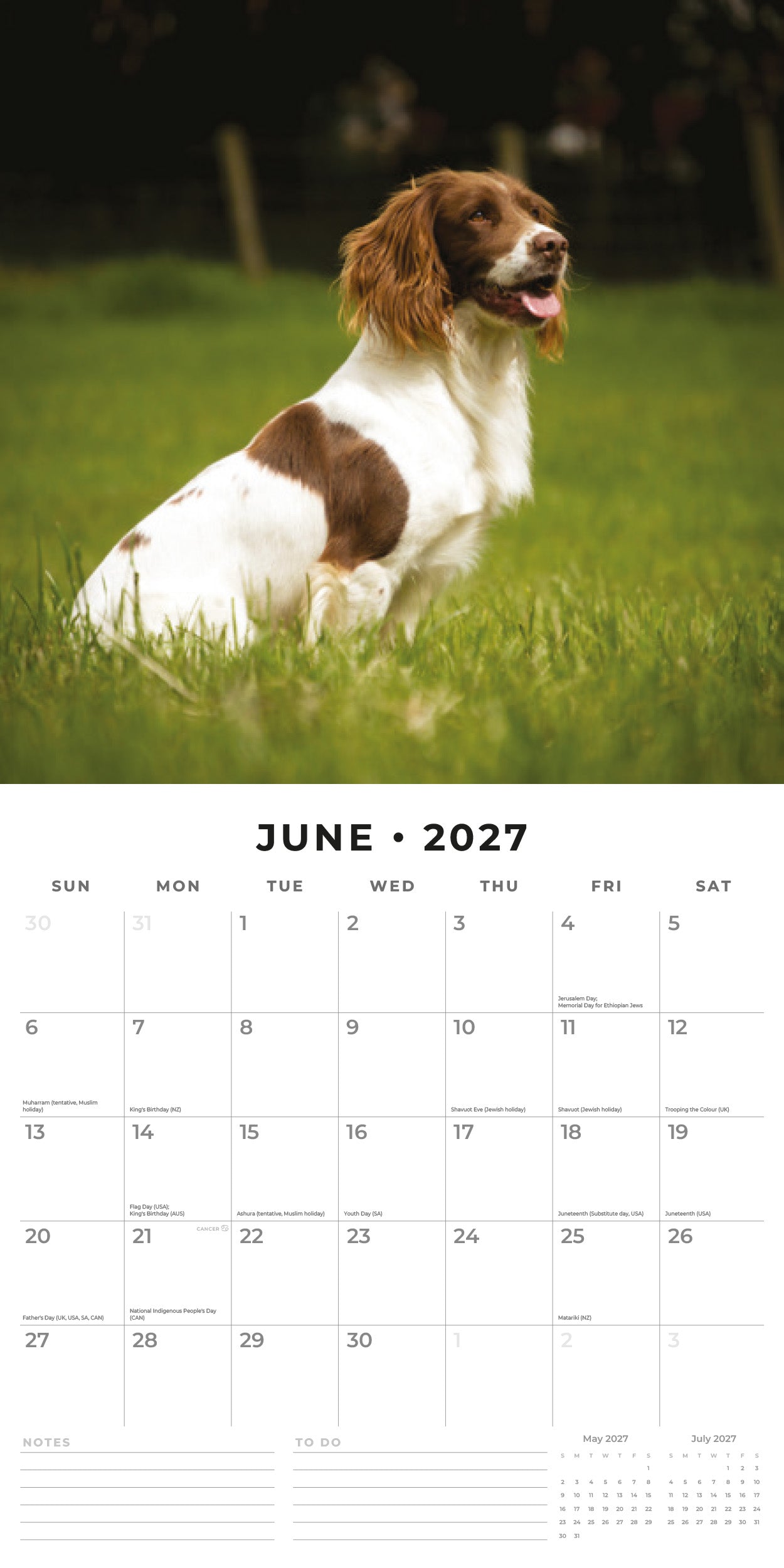 Red Robin 2027 English Springer Spaniels Monthly Wall Calendar | 12" x 12"