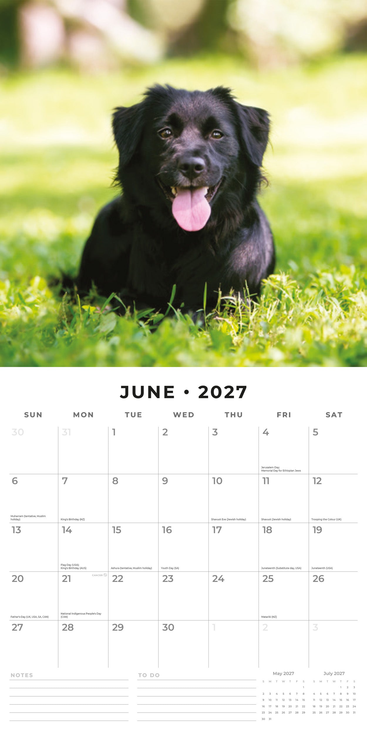 Red Robin 2027 Flat-coated Retrievers Monthly Wall Calendar | 12" x 12"