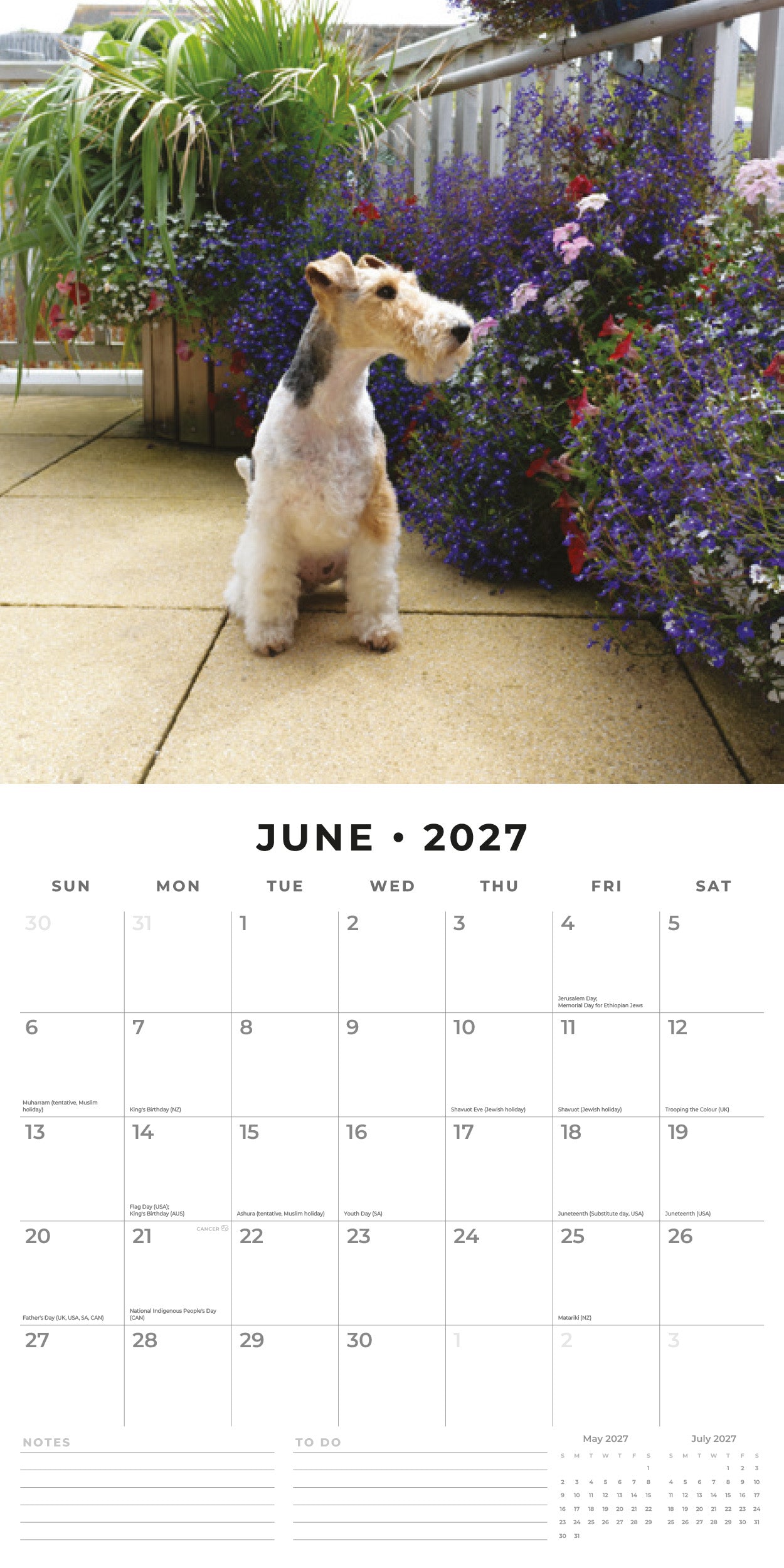 Red Robin 2027 Fox Terriers Monthly Wall Calendar | 12" x 12"