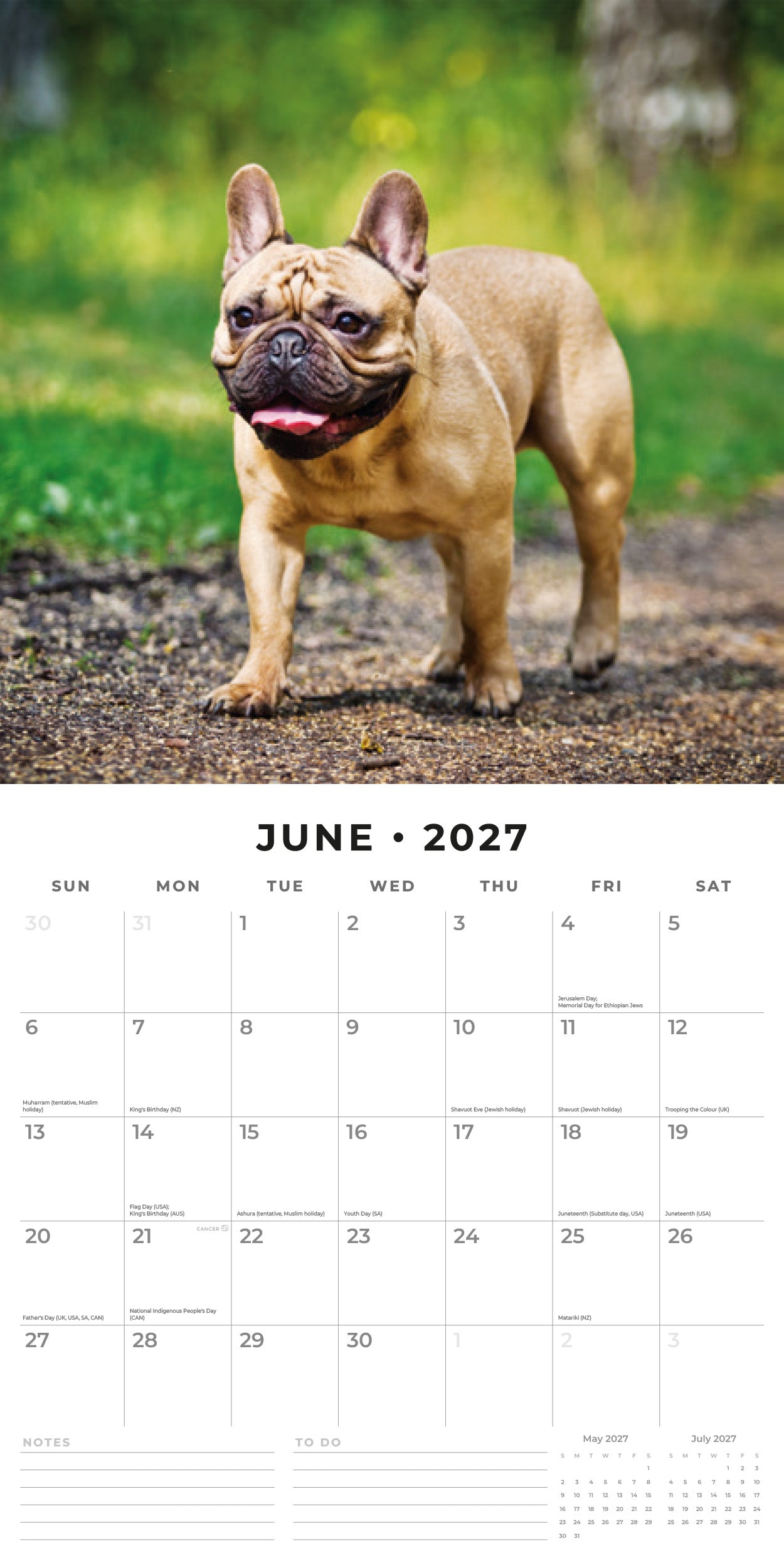 Red Robin 2027 French Bulldogs Monthly Wall Calendar | 12" x 12"