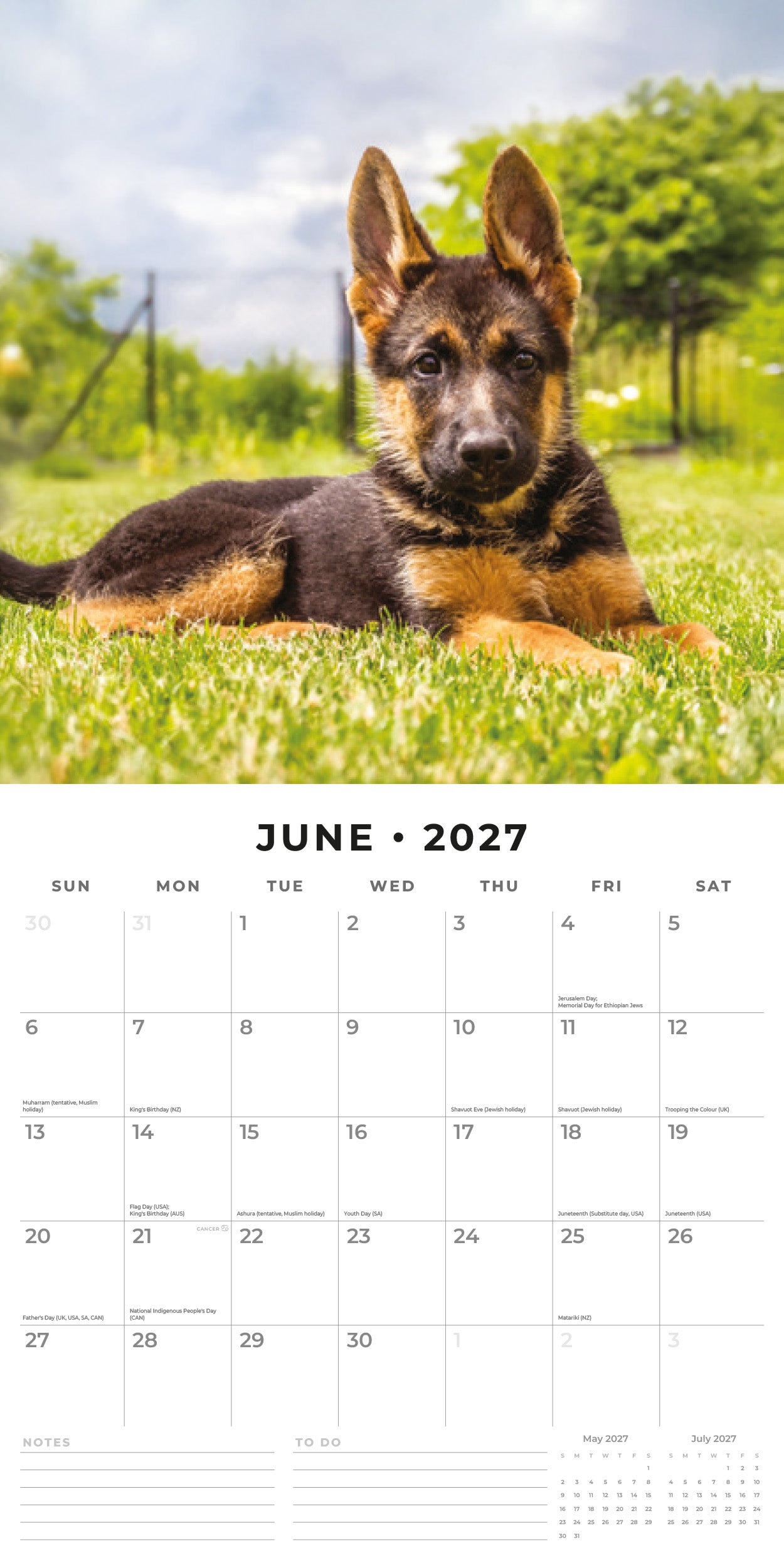 Red Robin 2027 German Shepherd Puppies Monthly Wall Calendar | 12" x 12"