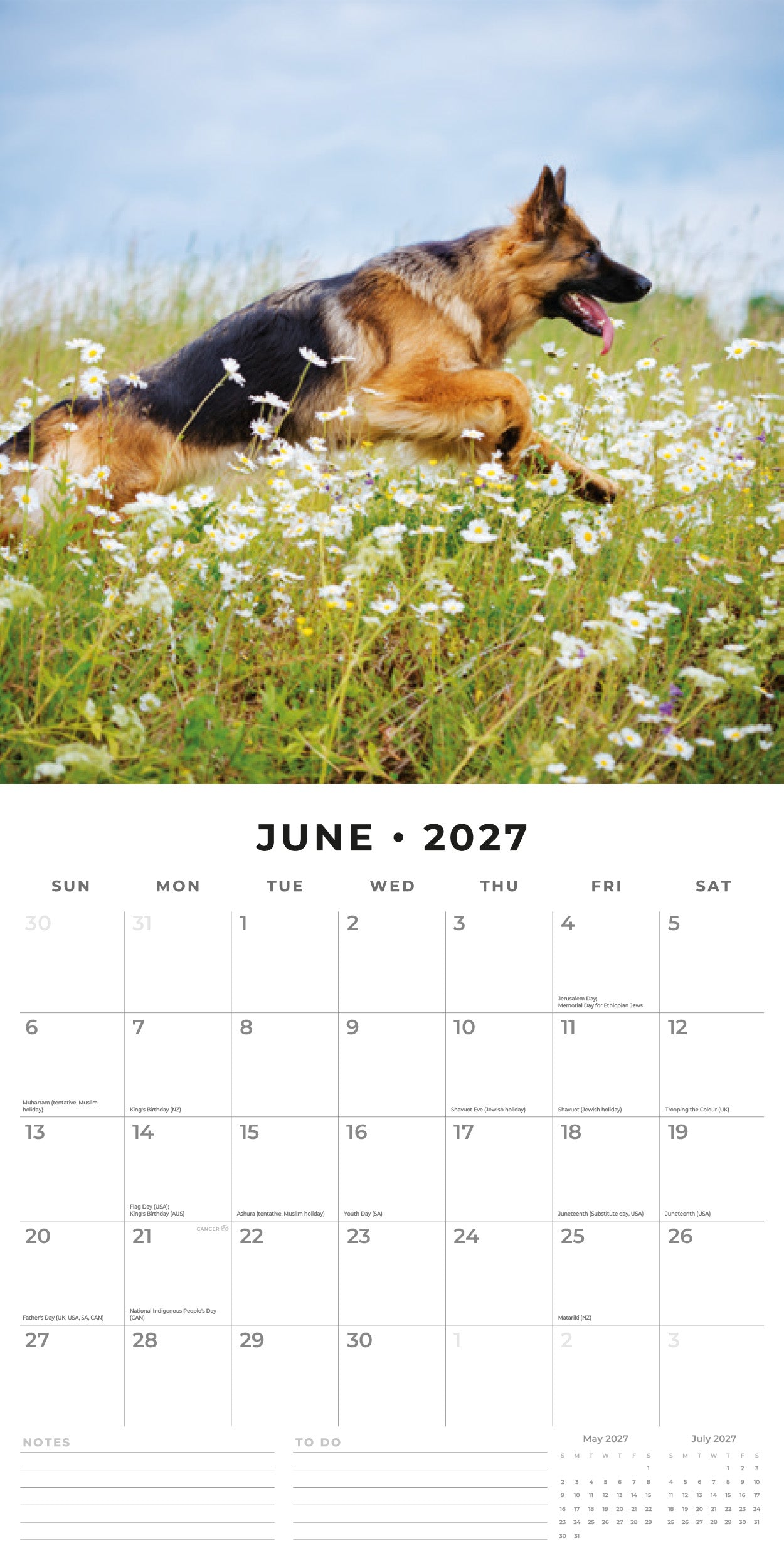 Red Robin 2027 German Shepherds Monthly Wall Calendar | 12" x 12"