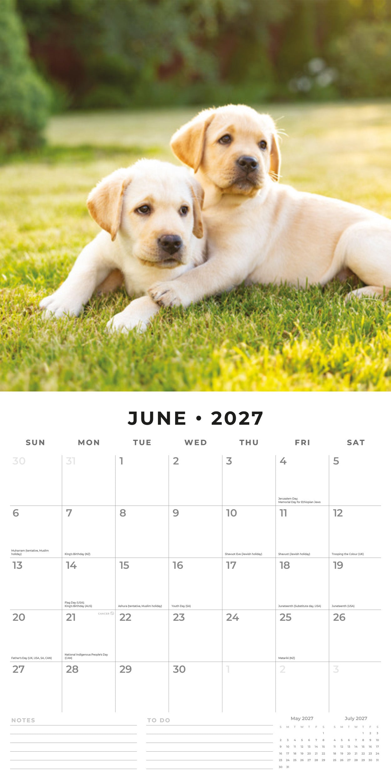 Red Robin 2027 Golden Retriever Puppies Monthly Wall Calendar | 12" x 12"