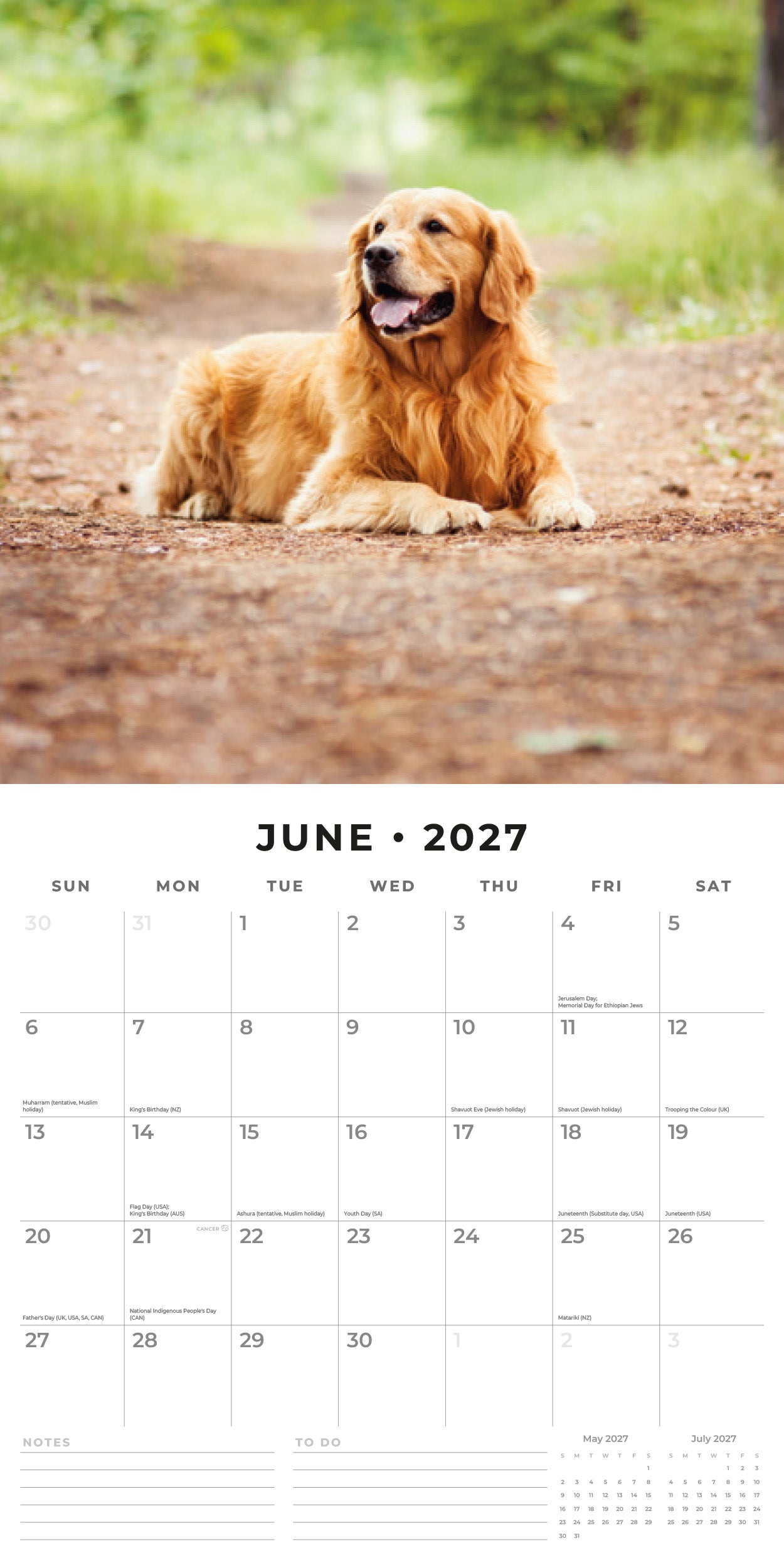 Red Robin 2027 Golden Retrievers Monthly Wall Calendar | 12" x 12"