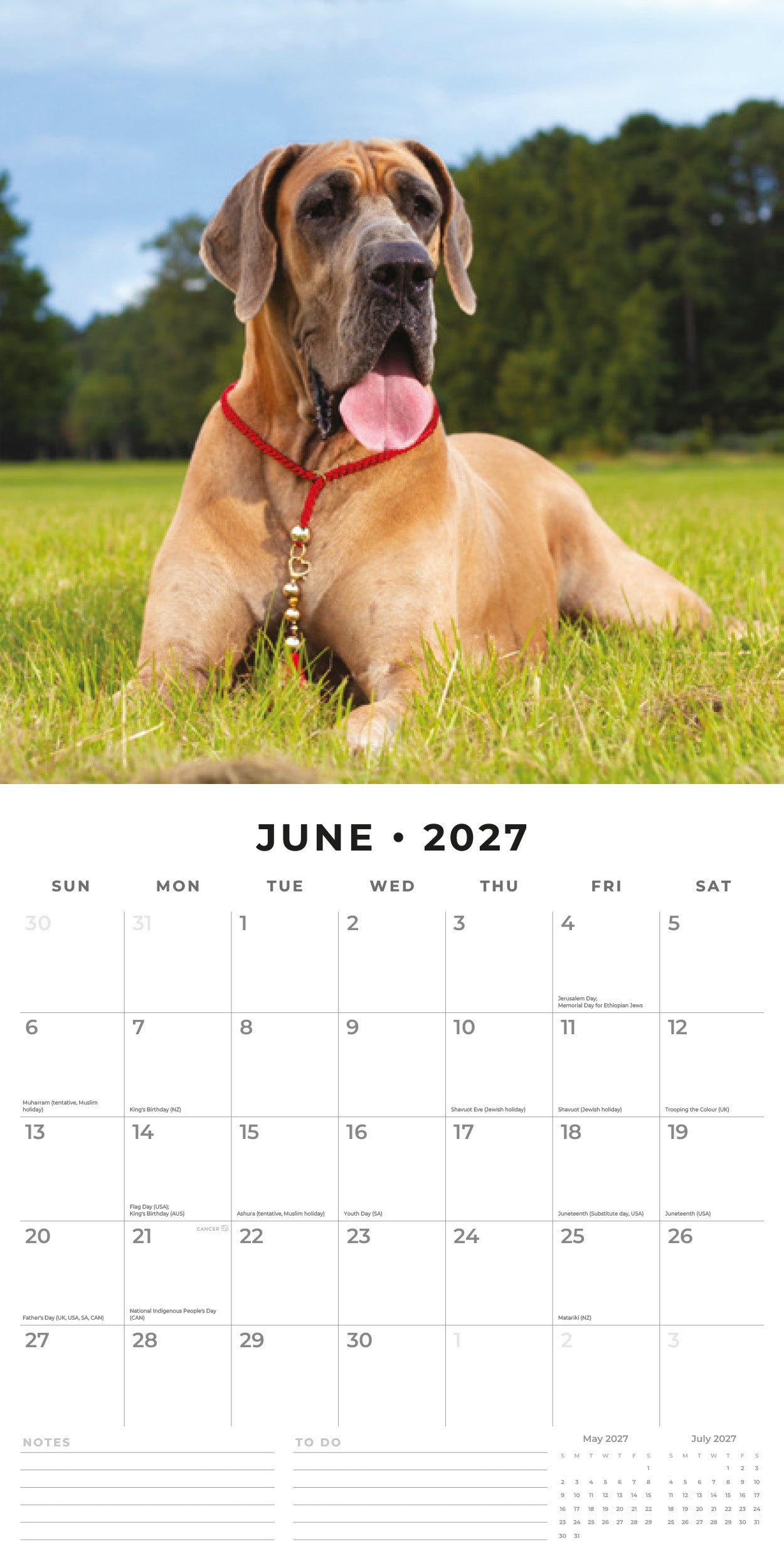 Red Robin 2027 Great Danes Monthly Wall Calendar | 12" x 12"