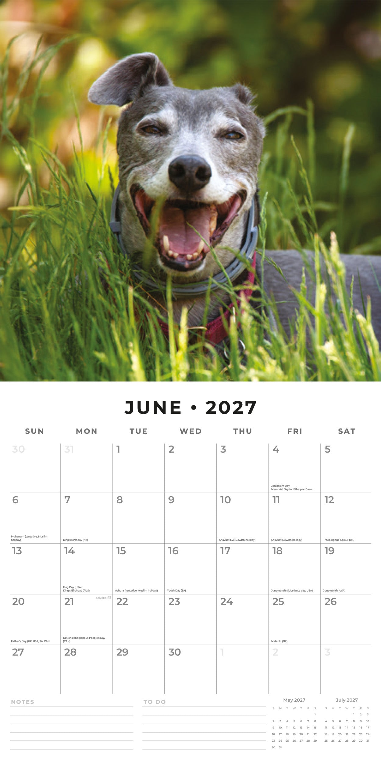Red Robin 2027 Greyhounds Monthly Wall Calendar | 12" x 12"