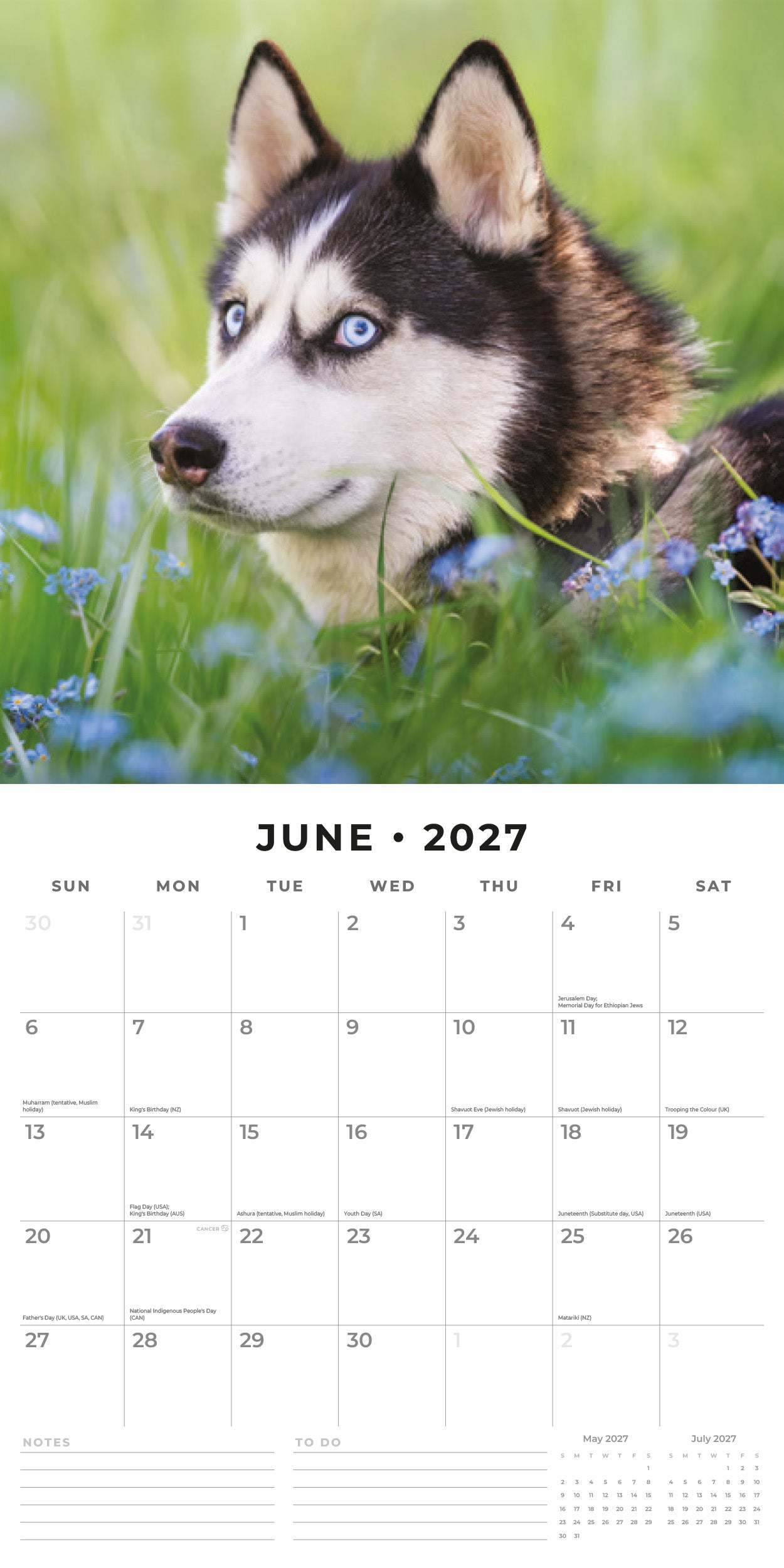Red Robin 2027 Huskies Monthly Wall Calendar | 12" x 12"