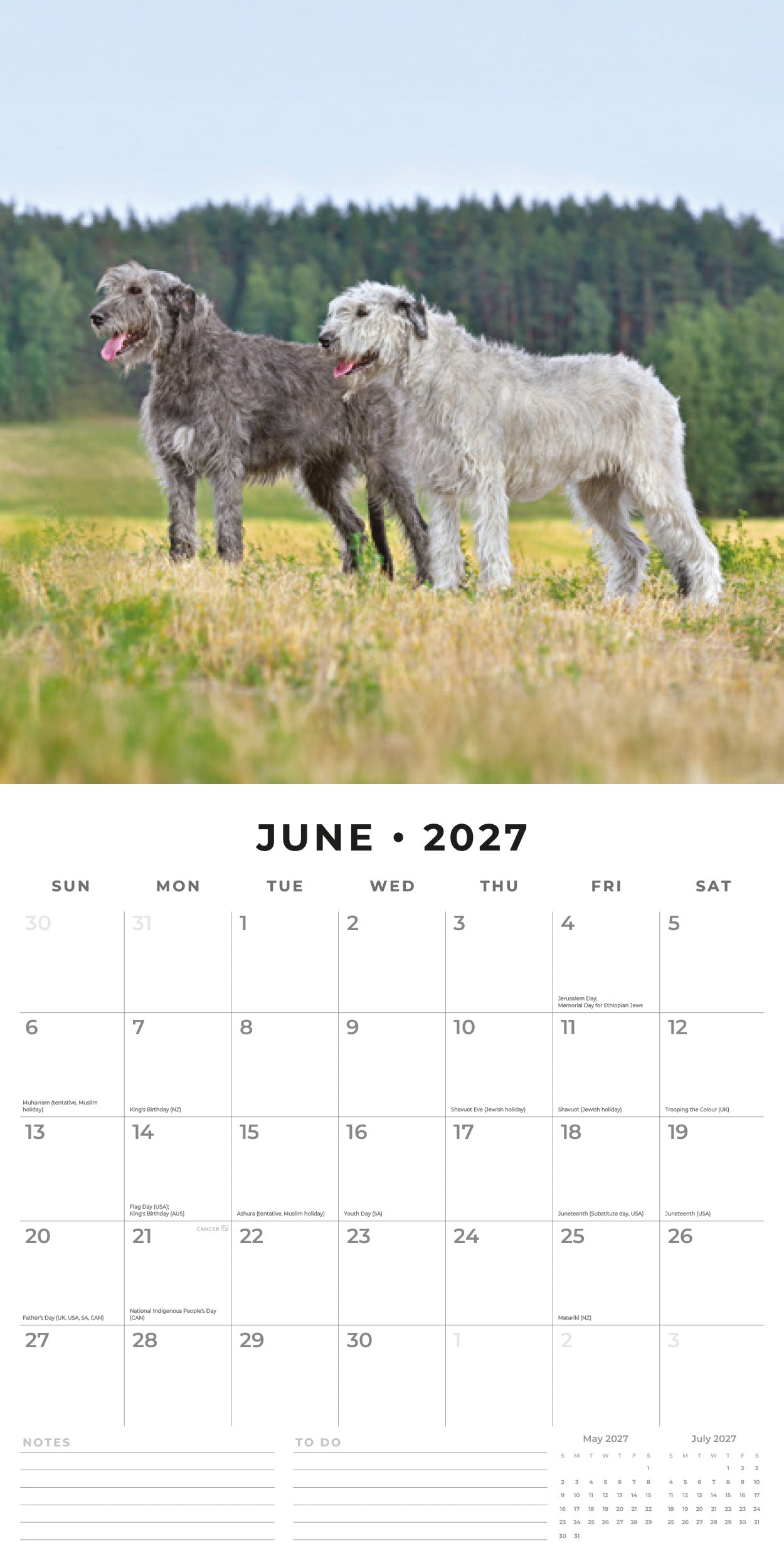 Red Robin 2027 Irish Wolf Hounds Monthly Wall Calendar | 12" x 12"