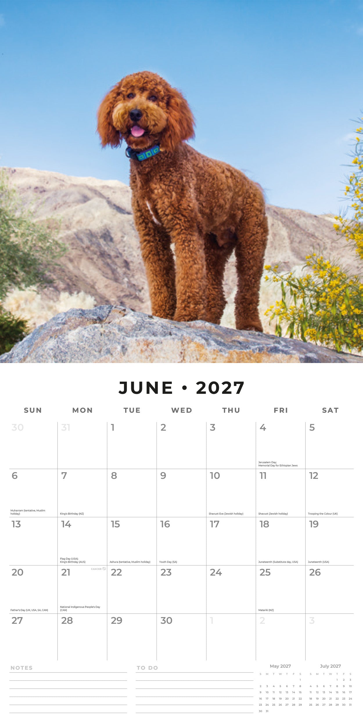 Red Robin 2027 Labradoodles Monthly Wall Calendar | 12" x 12"