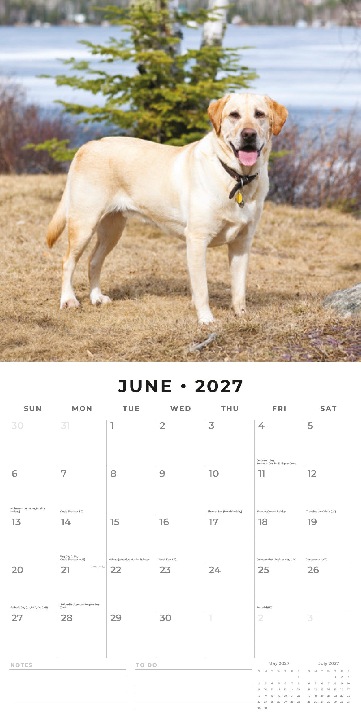 Red Robin 2027 Labrador Retrievers Monthly Wall Calendar | 12" x 12"