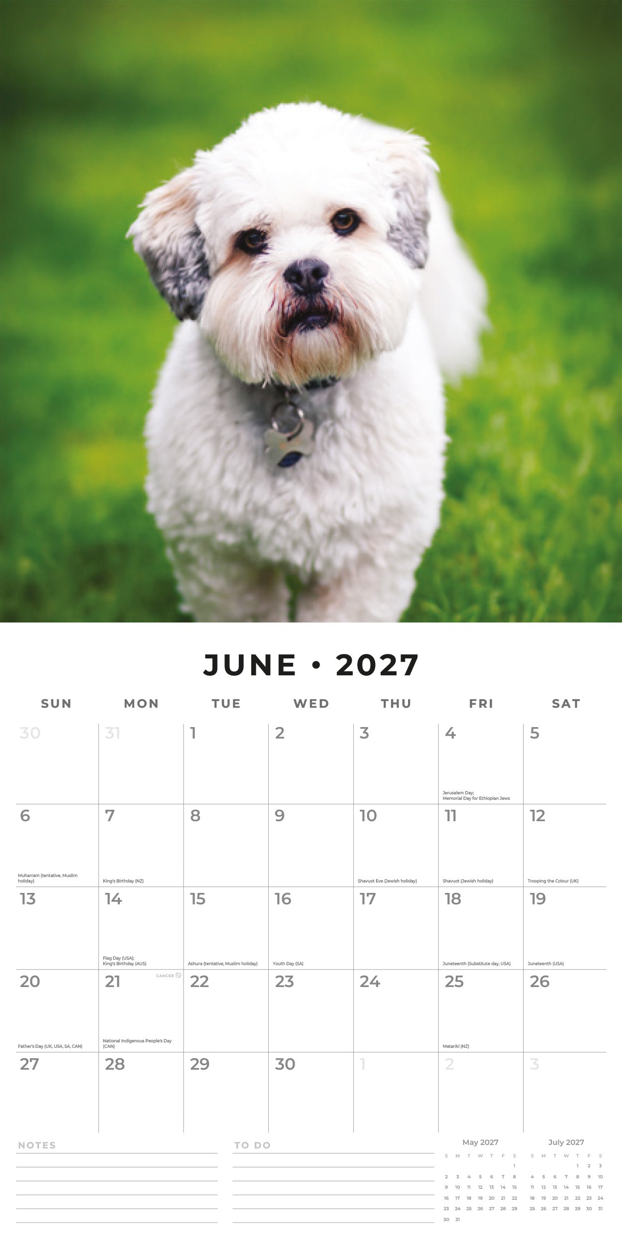 Red Robin 2027 Lhasa Apsos Monthly Wall Calendar | 12" x 12"