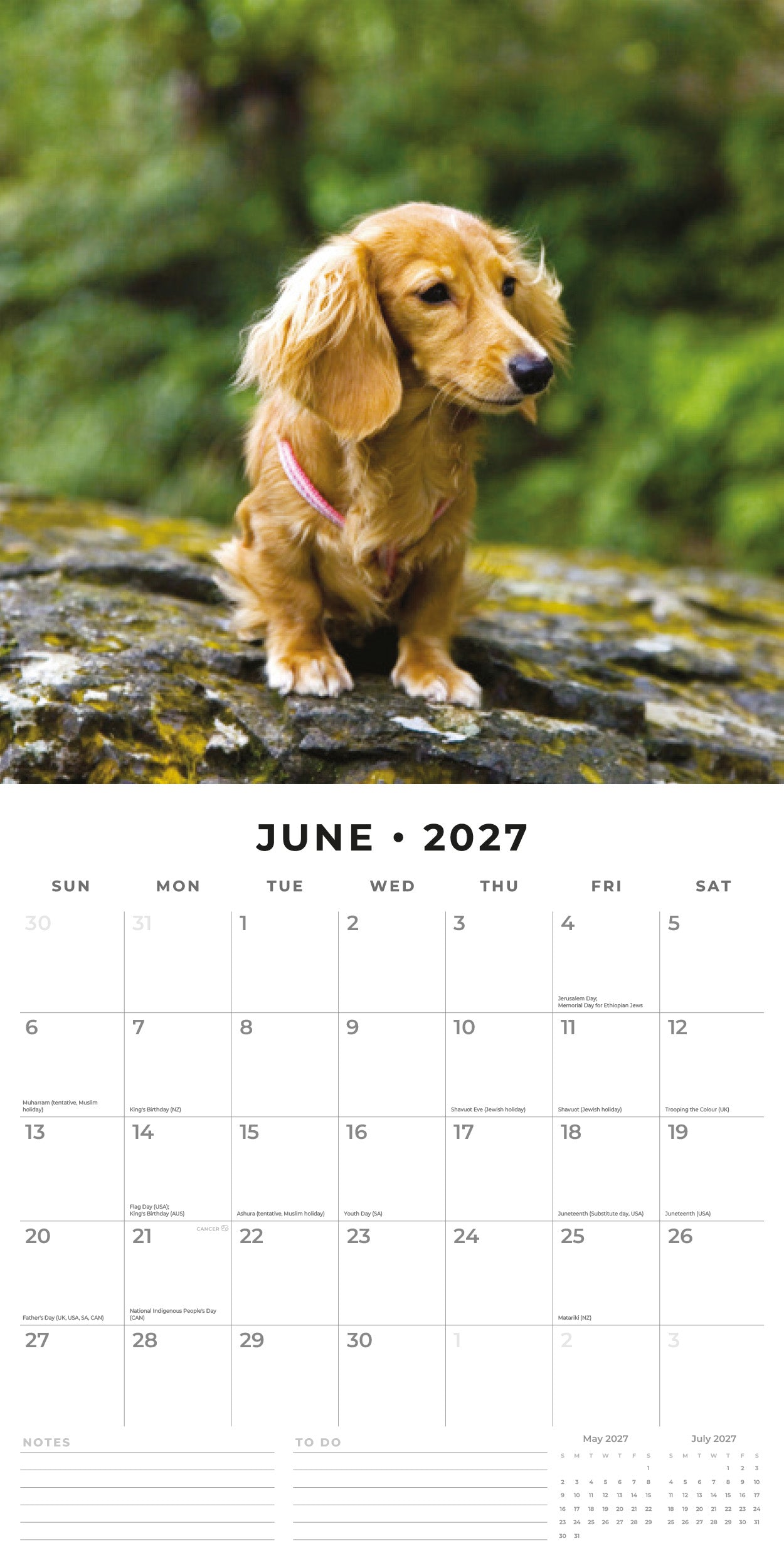 Red Robin 2027 Long-haired Dachshunds Monthly Wall Calendar | 12" x 12"