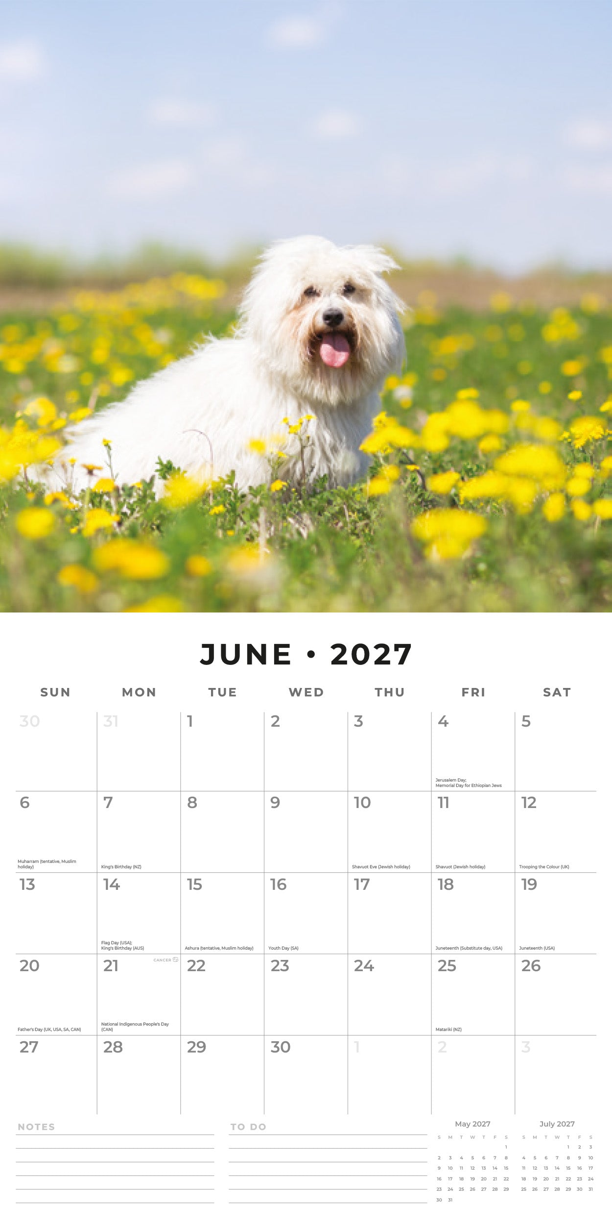 Red Robin 2027 Maltese Monthly Wall Calendar | 12" x 12"