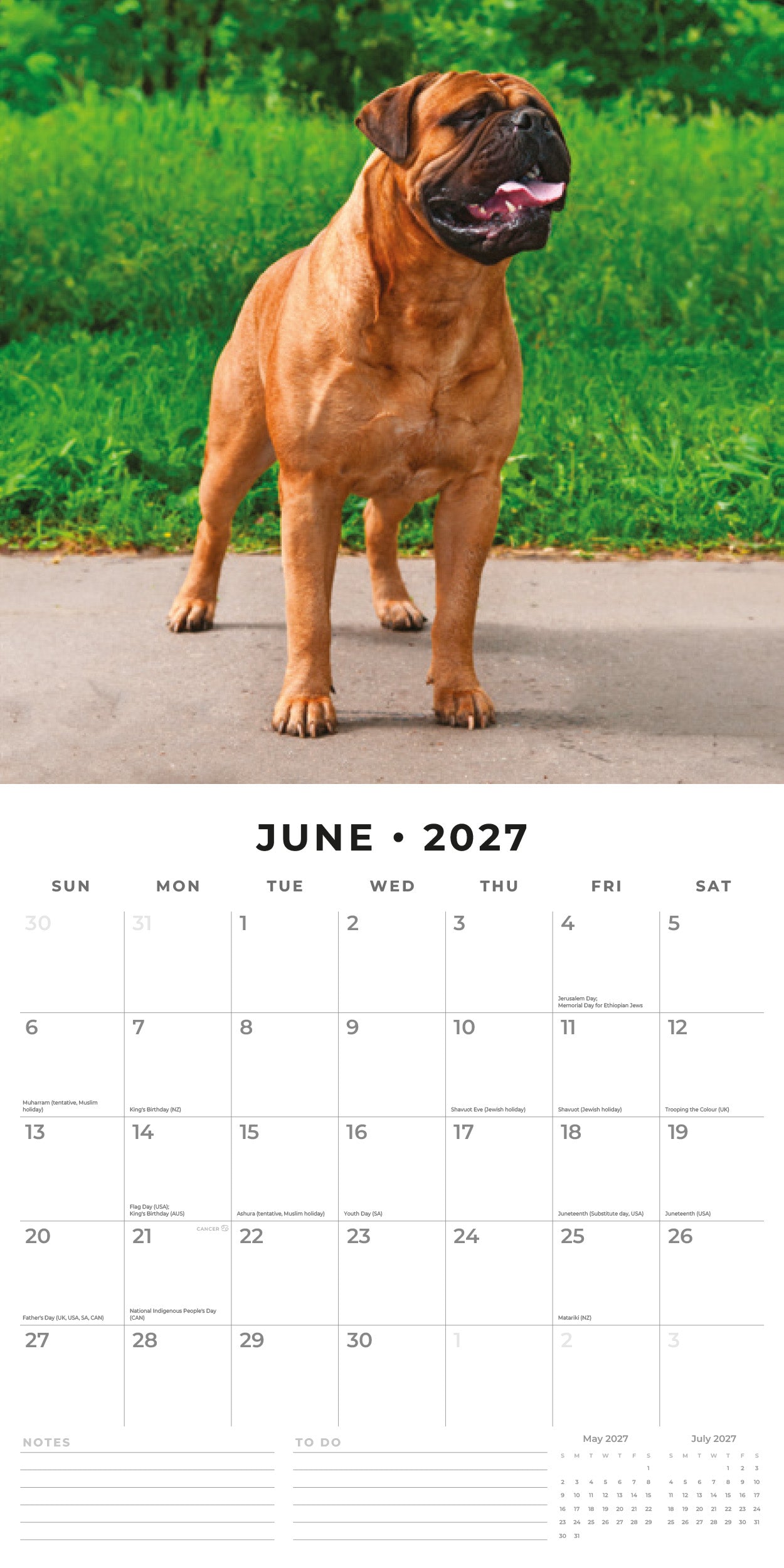 Red Robin 2027 Mastiffs Monthly Wall Calendar | 12" x 12"