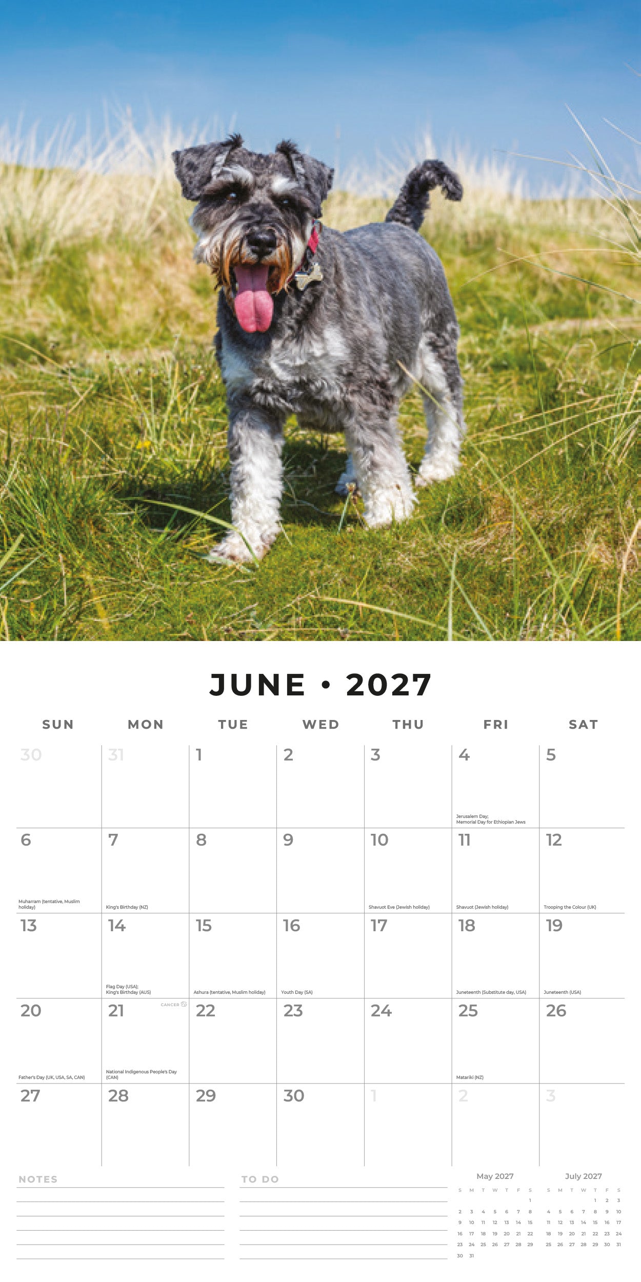 Red Robin 2027 Miniature Schnauzer  Monthly Wall Calendar | 12" x 12"