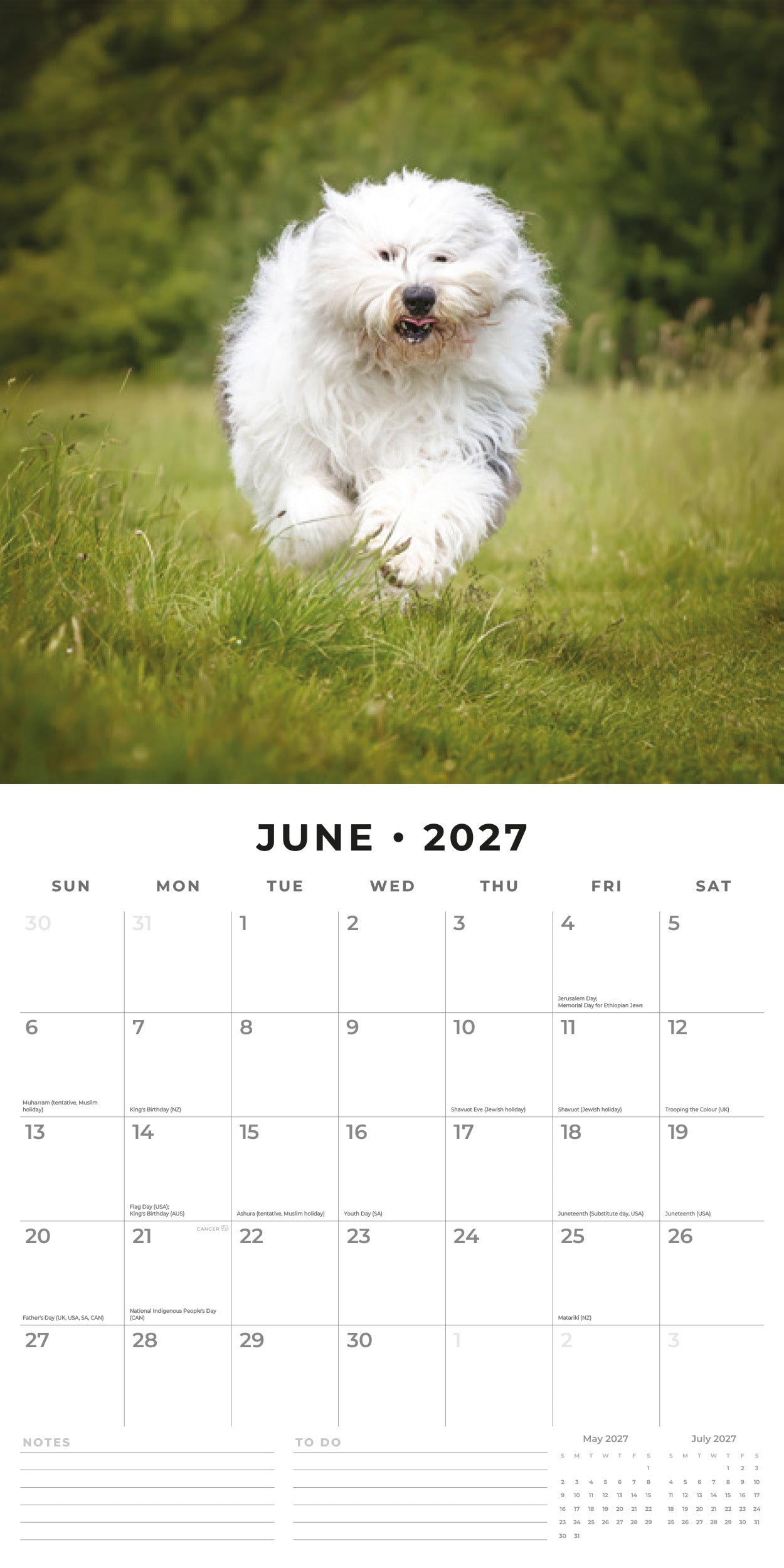 Red Robin 2027 Old English Sheepdogs Monthly Wall Calendar | 12" x 12"