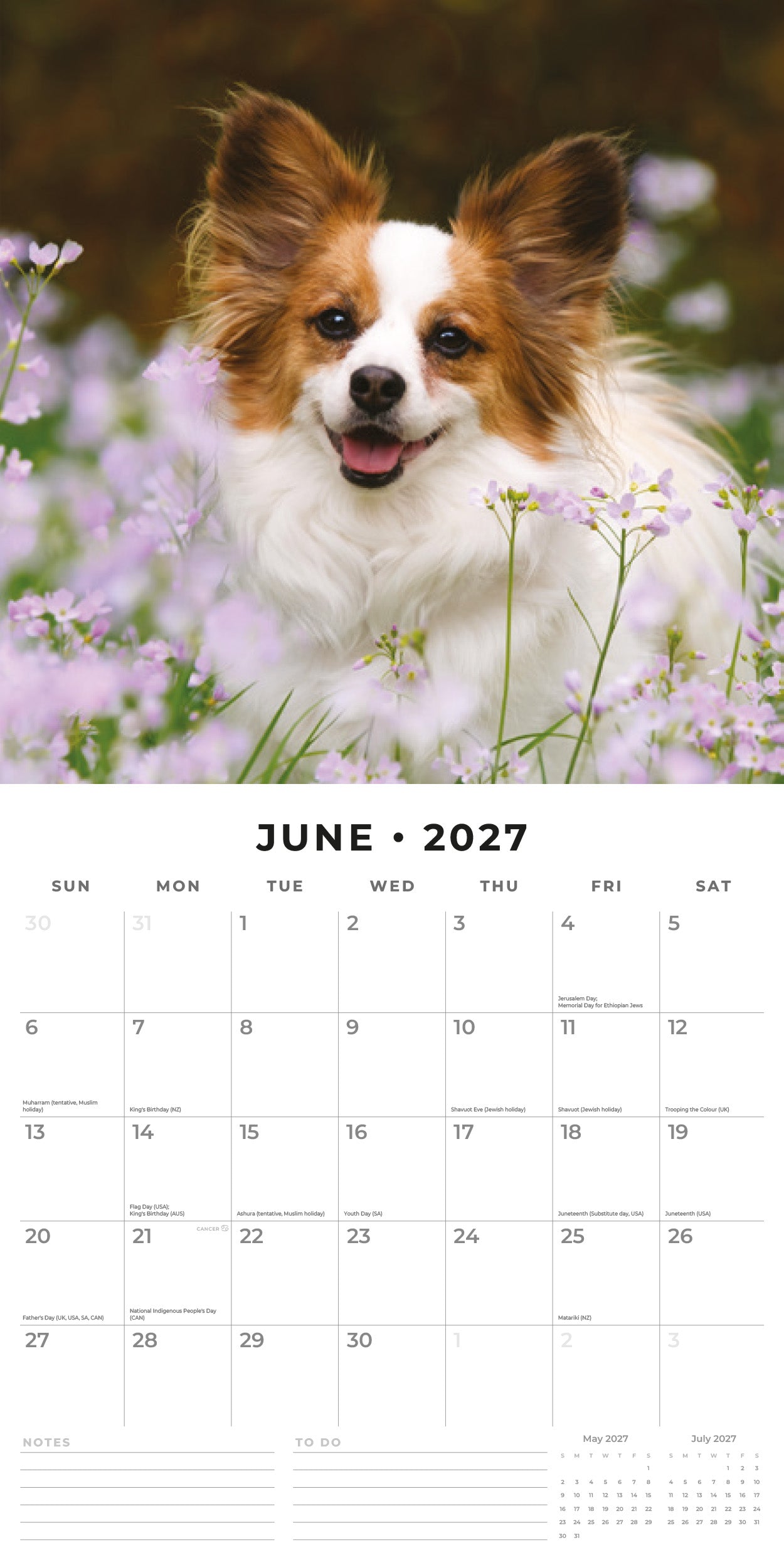 Red Robin 2027 Papillions Monthly Wall Calendar | 12" x 12"