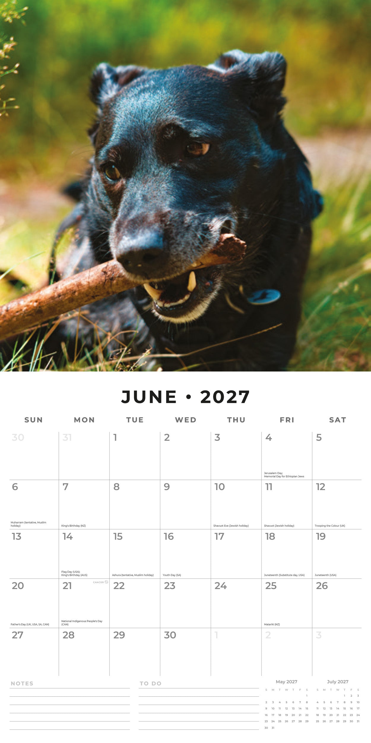 Red Robin 2027 Patterdale Terriers Monthly Wall Calendar | 12" x 12"