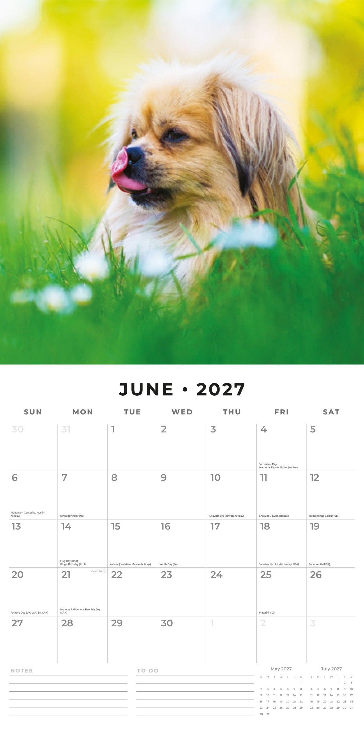 Red Robin 2027 Pekingese Monthly Wall Calendar | 12" x 12"