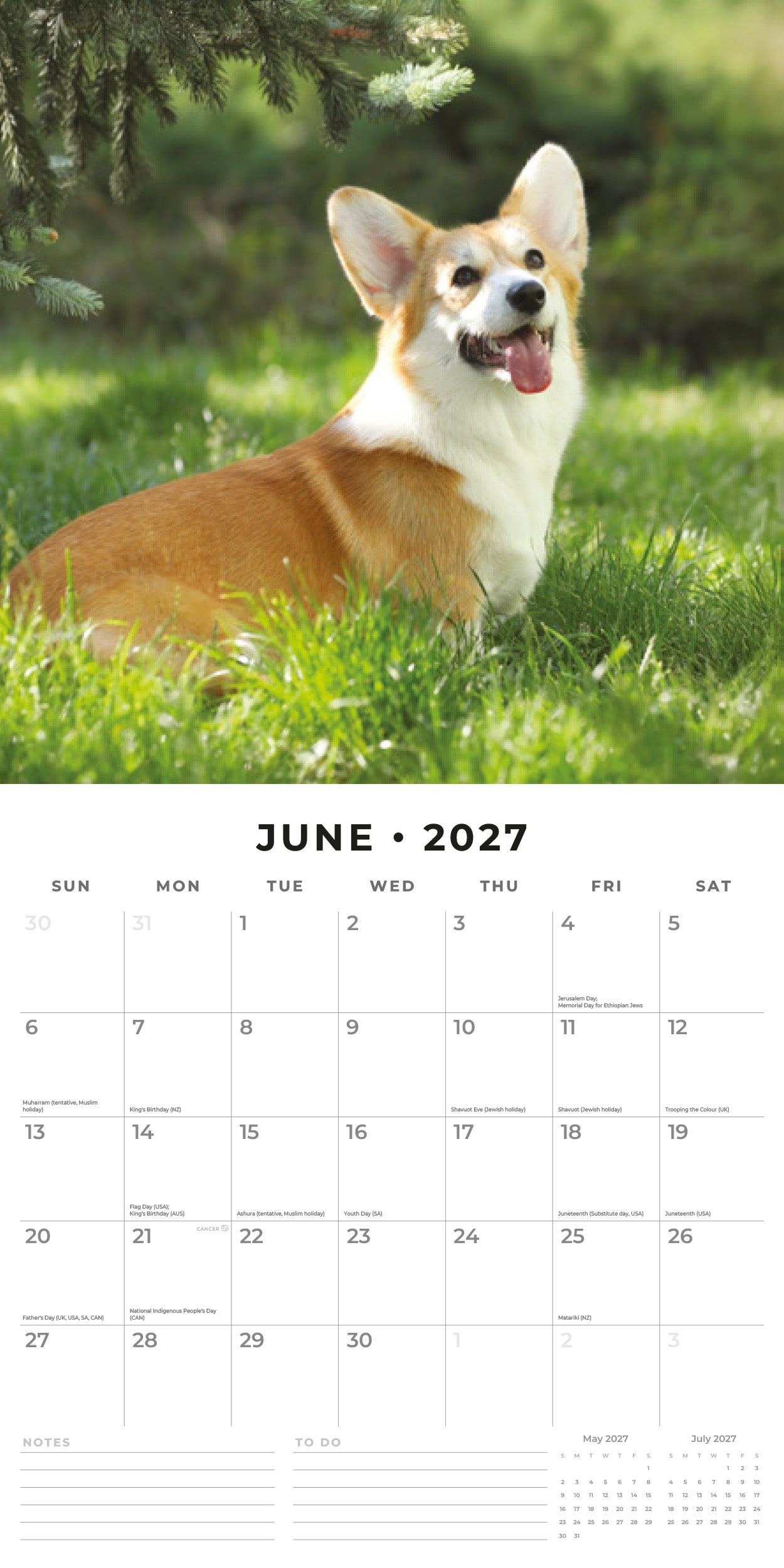Red Robin 2027 Pembroke Welsh Corgis Monthly Wall Calendar | 12" x 12"
