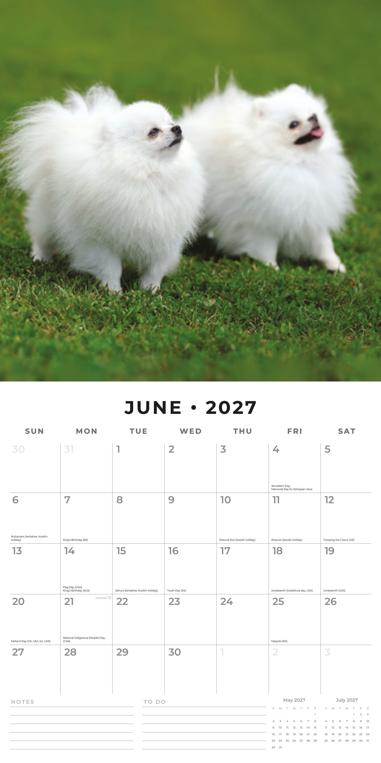Red Robin 2027 Pomeranians Monthly Wall Calendar | 12" x 12"