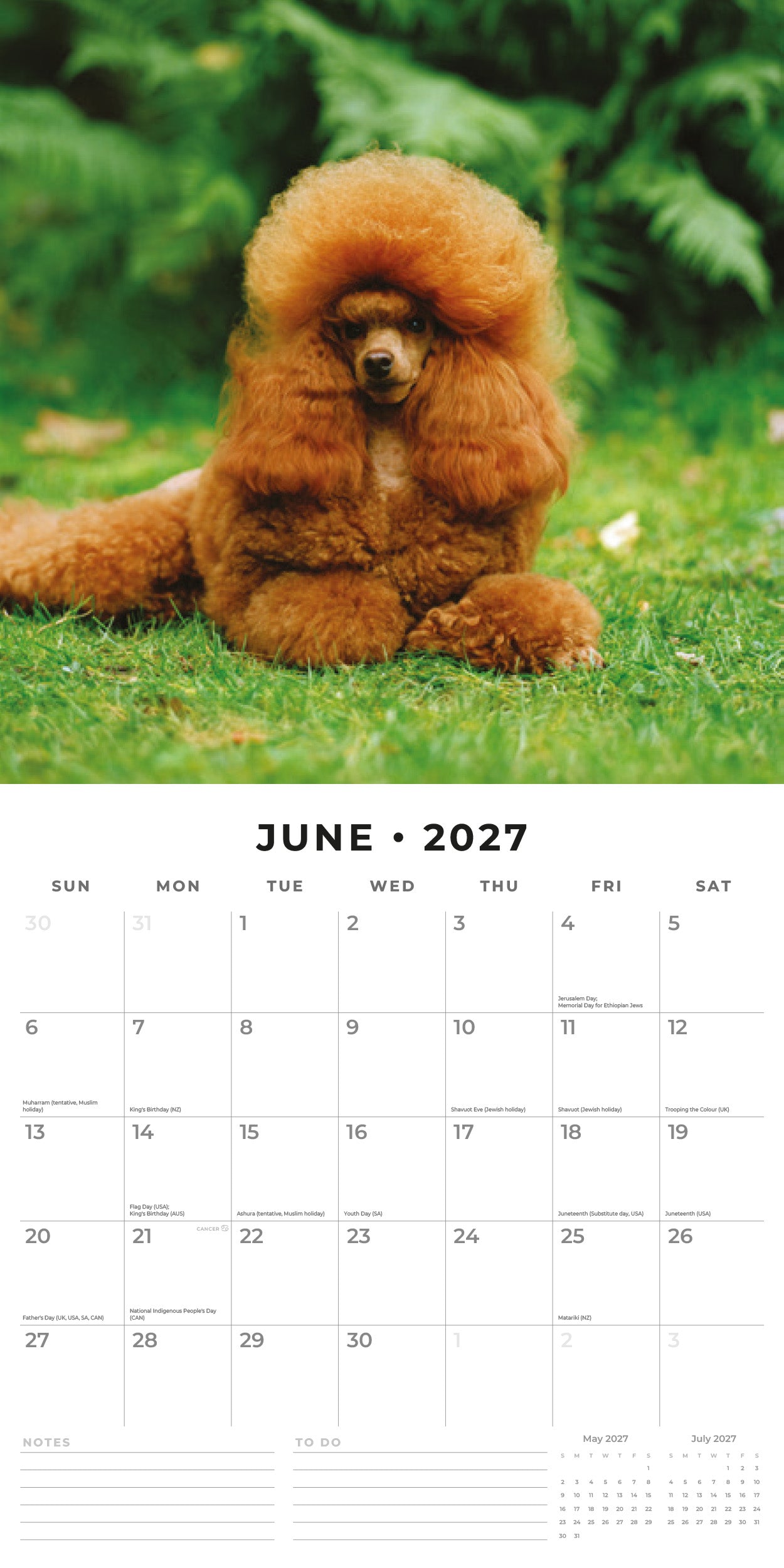 Red Robin 2027 Poodles Monthly Wall Calendar | 12" x 12"
