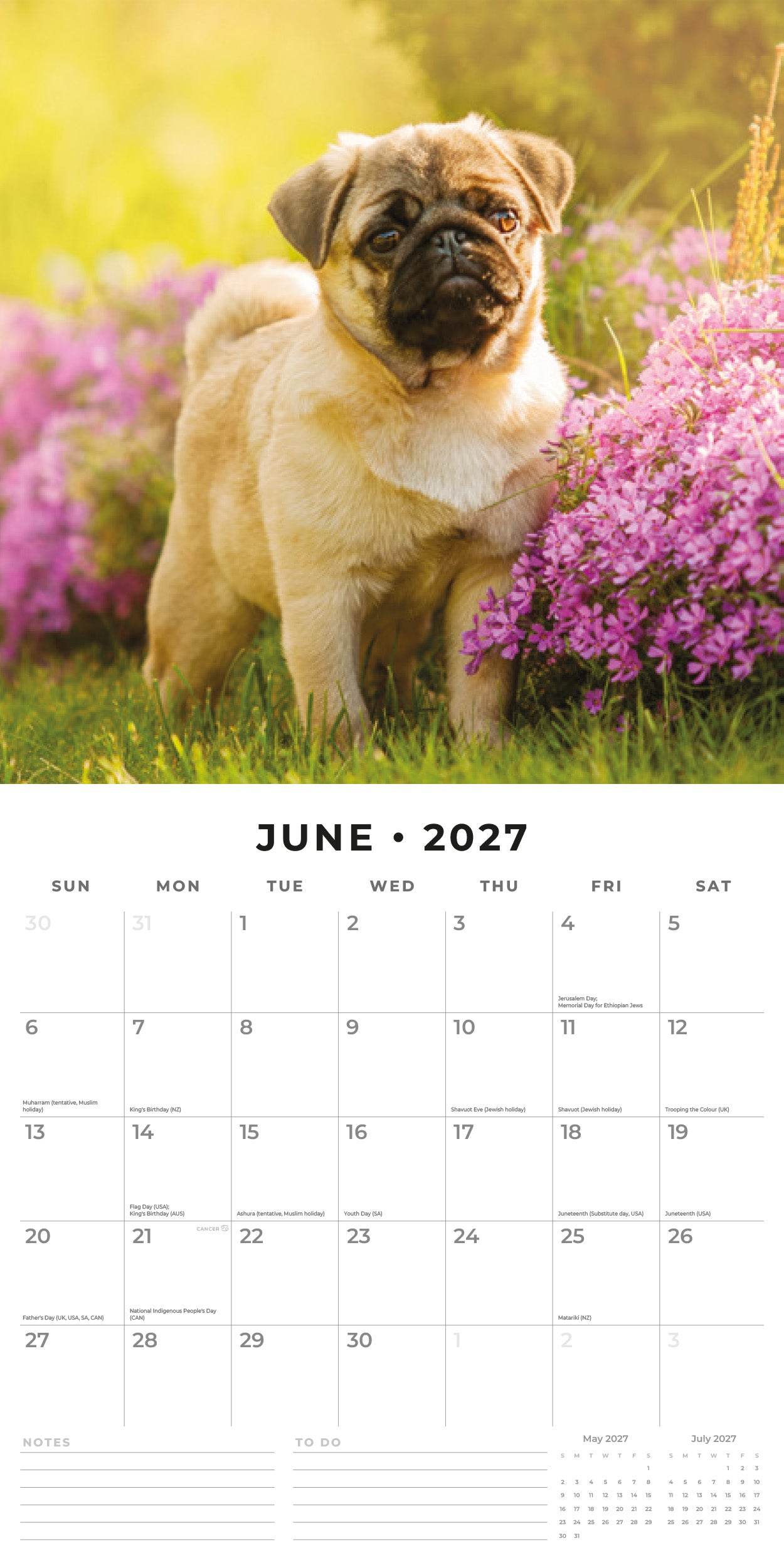 Red Robin 2027 Pugs Monthly Wall Calendar | 12" x 12"