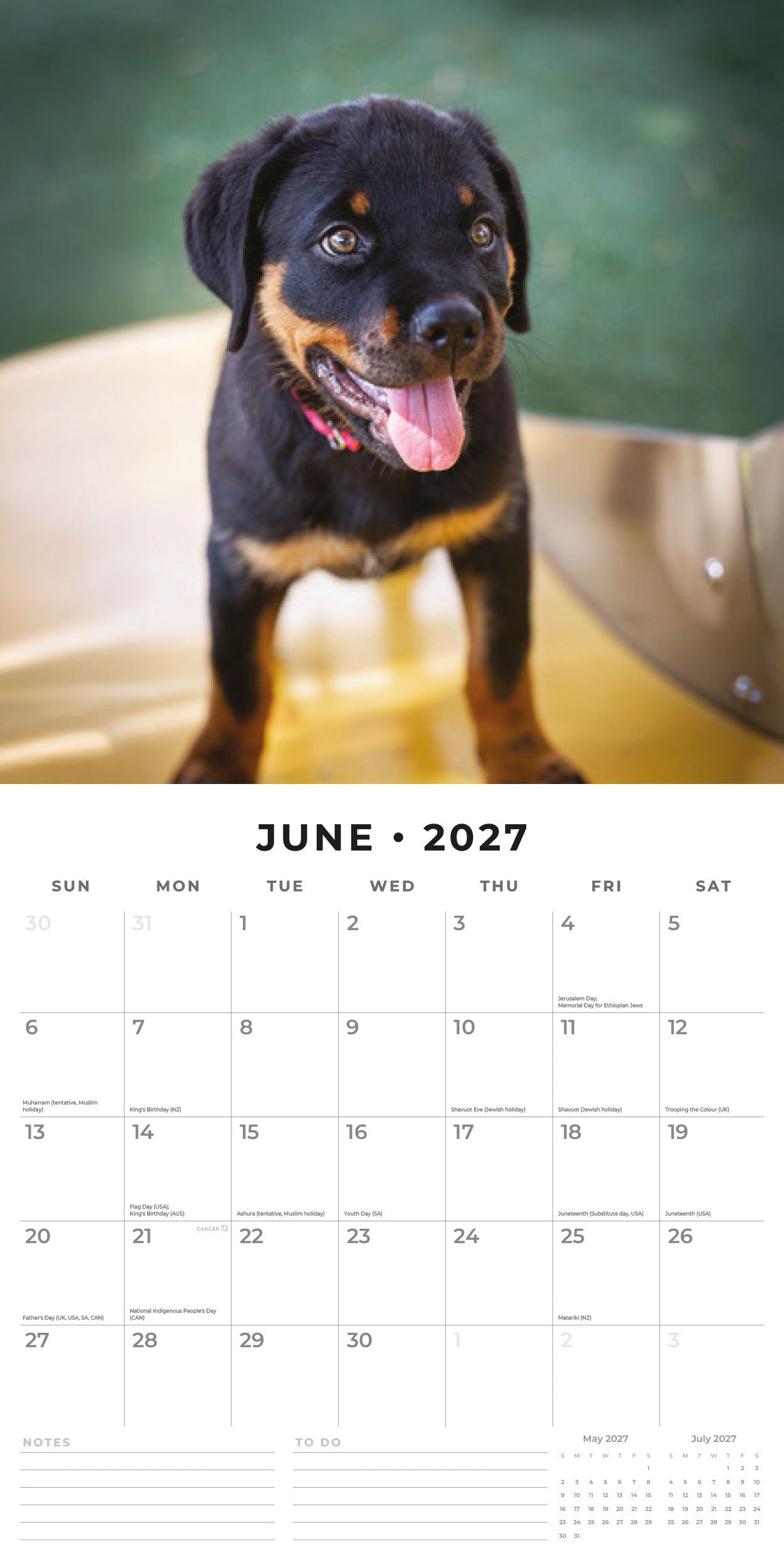 Red Robin 2027 Rottweiler Puppies Monthly Wall Calendar | 12" x 12"