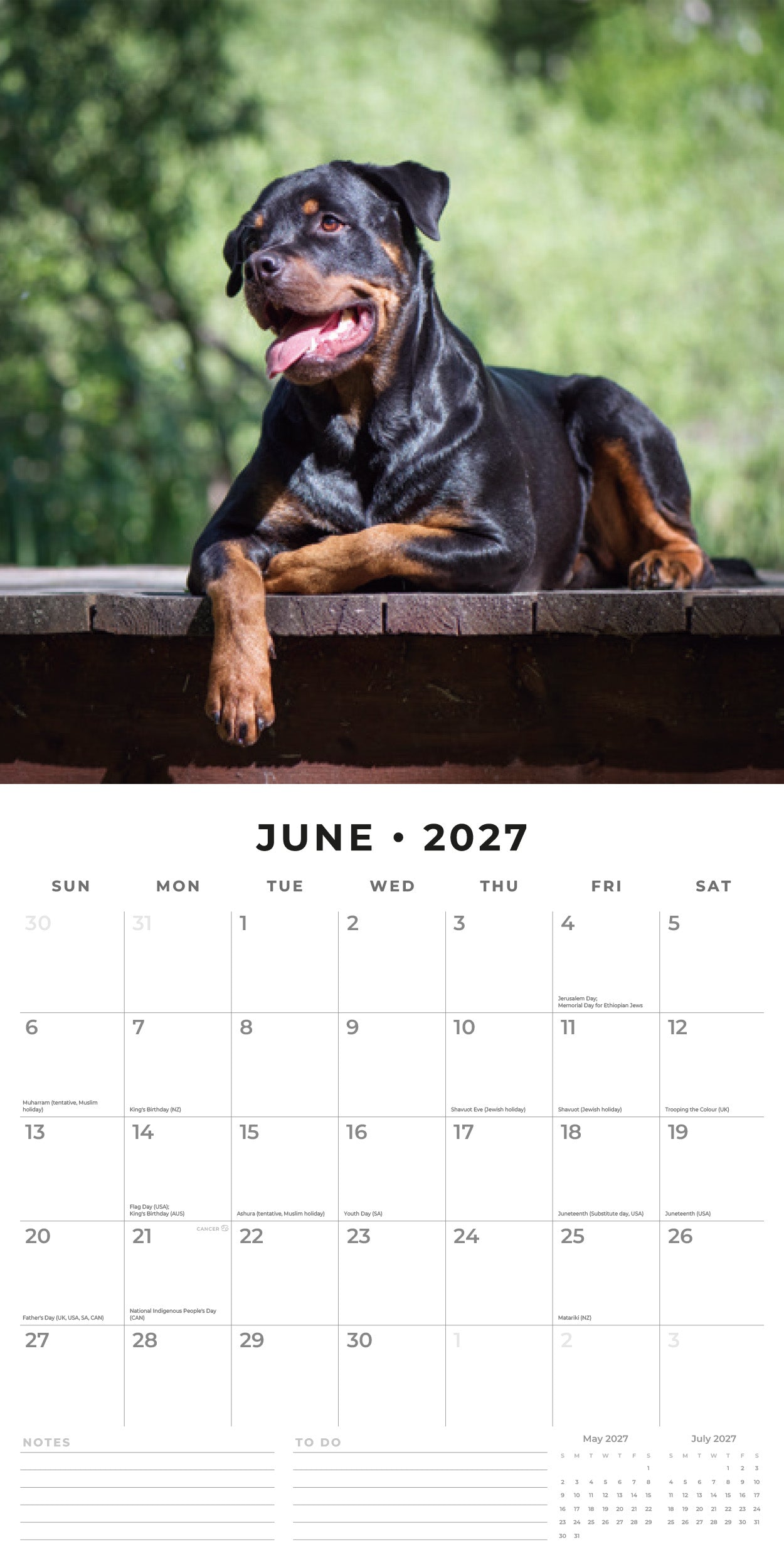 Red Robin 2027 Rottweilers Monthly Wall Calendar | 12" x 12"