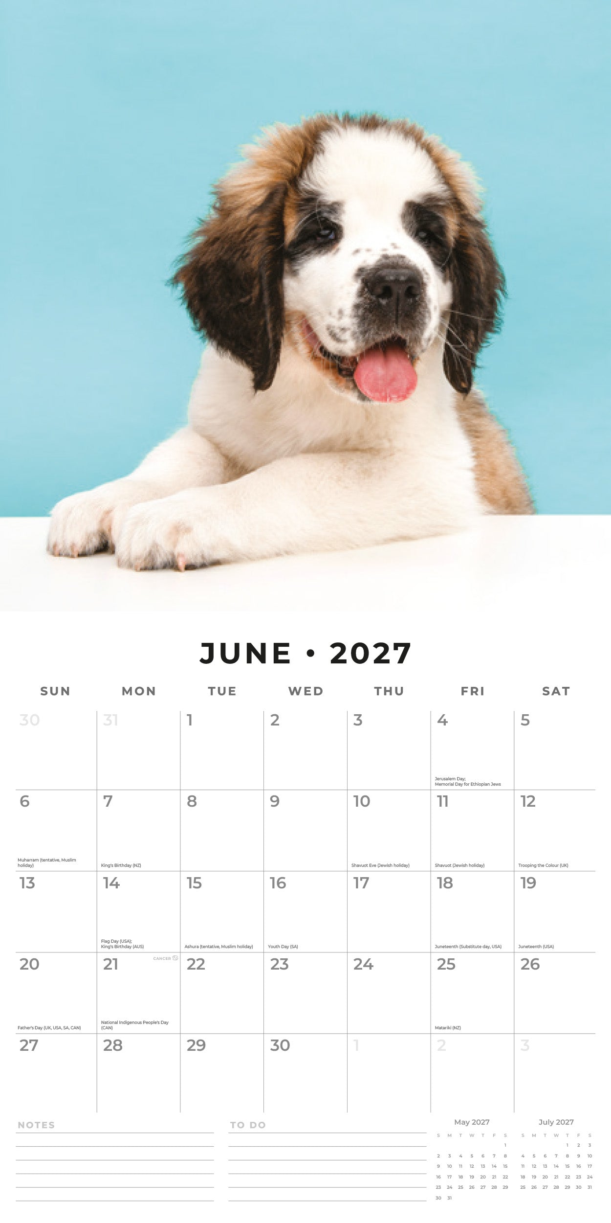 Red Robin 2027 Saint Bernards Monthly Wall Calendar | 12" x 12"
