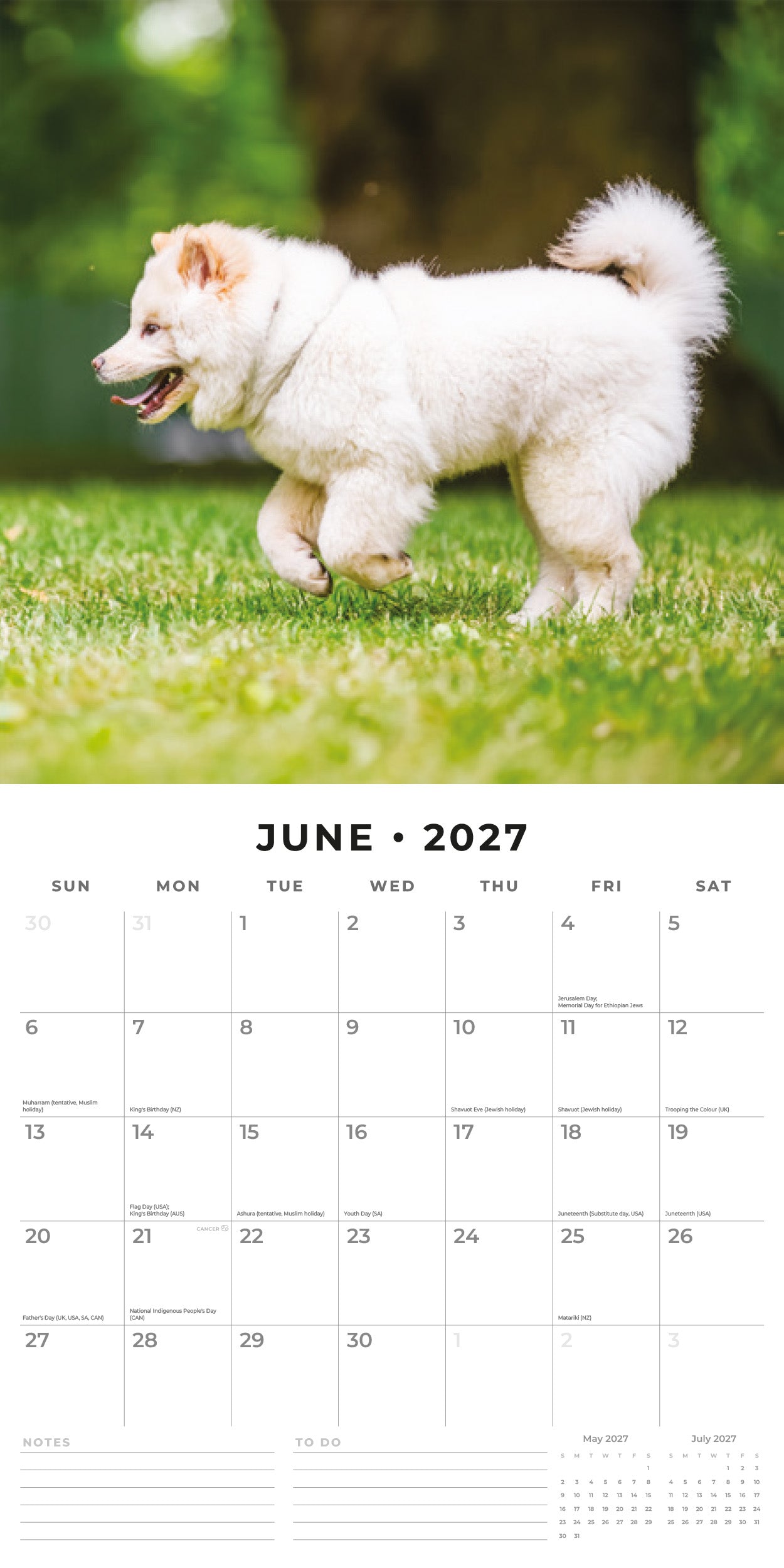 Red Robin 2027 Samoyeds Monthly Wall Calendar | 12" x 12"