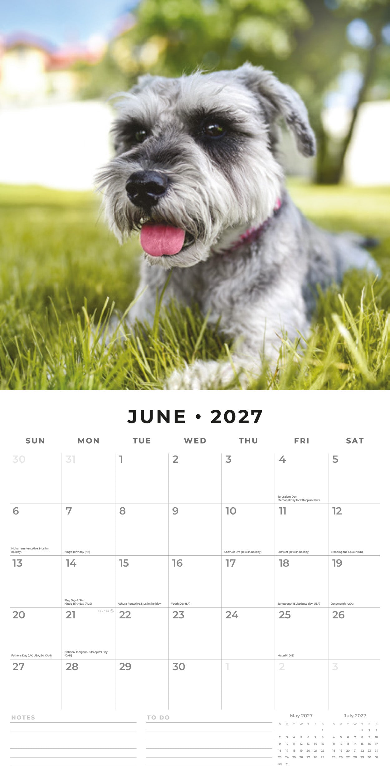 Red Robin 2027 Schnauzer Monthly Wall Calendar | 12" x 12"