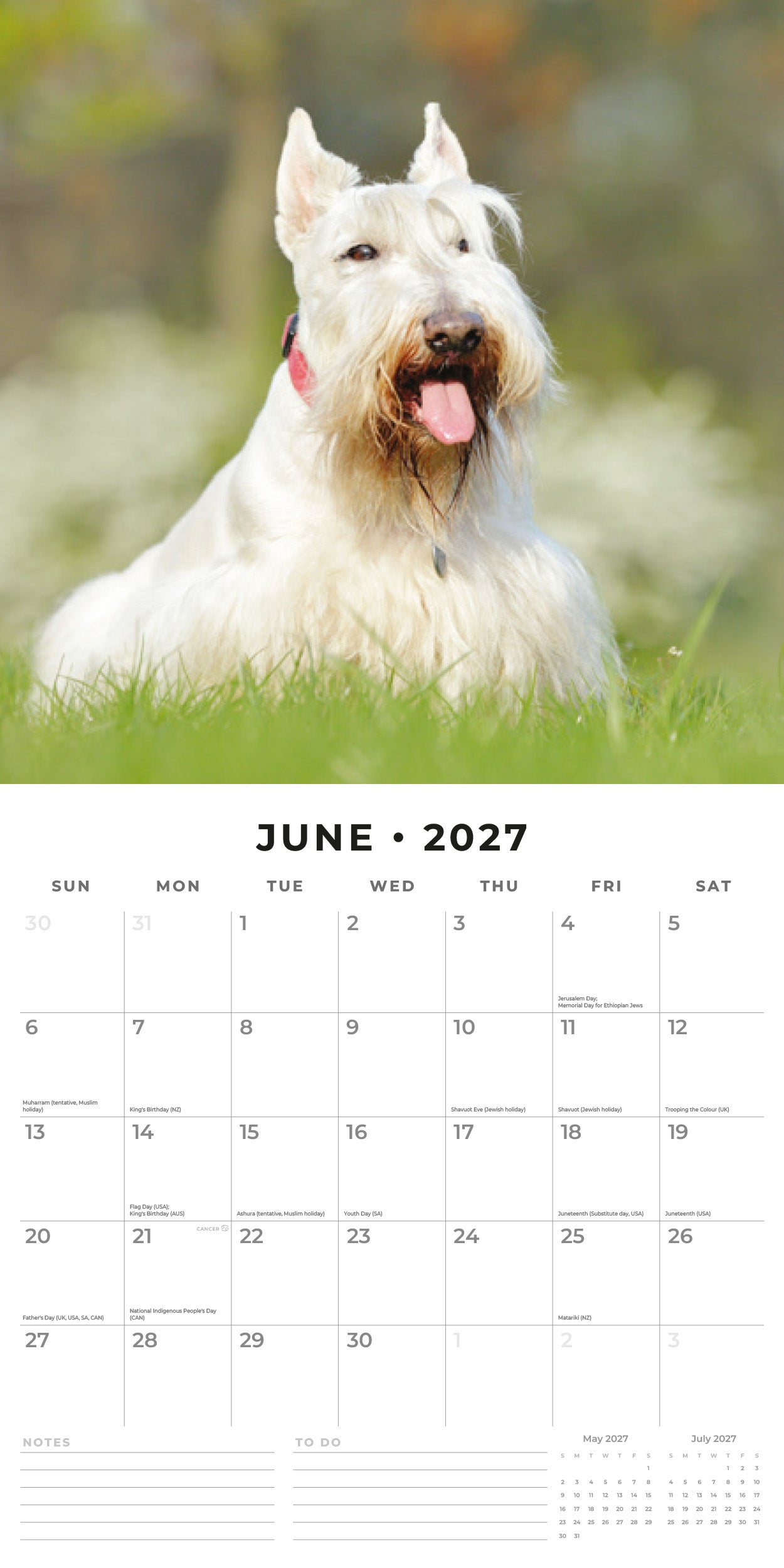 Red Robin 2027 Scottish Terriers Monthly Wall Calendar | 12" x 12"