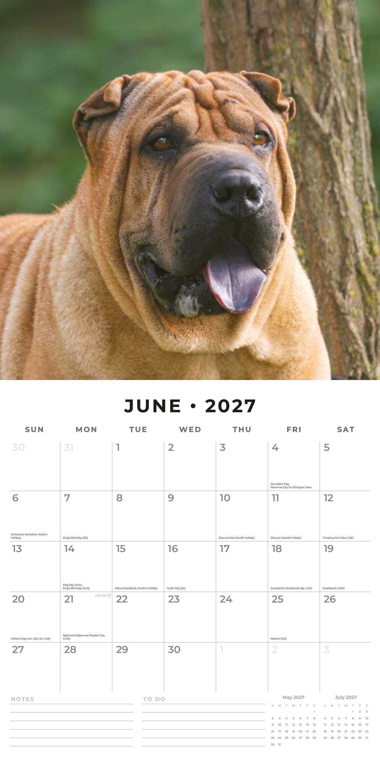 Red Robin 2027 Shar-Pei Monthly Wall Calendar | 12" x 12"