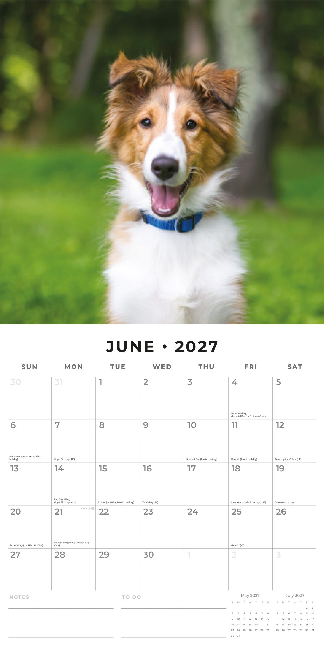 Red Robin 2027 Shetland Sheepdogs Monthly Wall Calendar | 12" x 12"