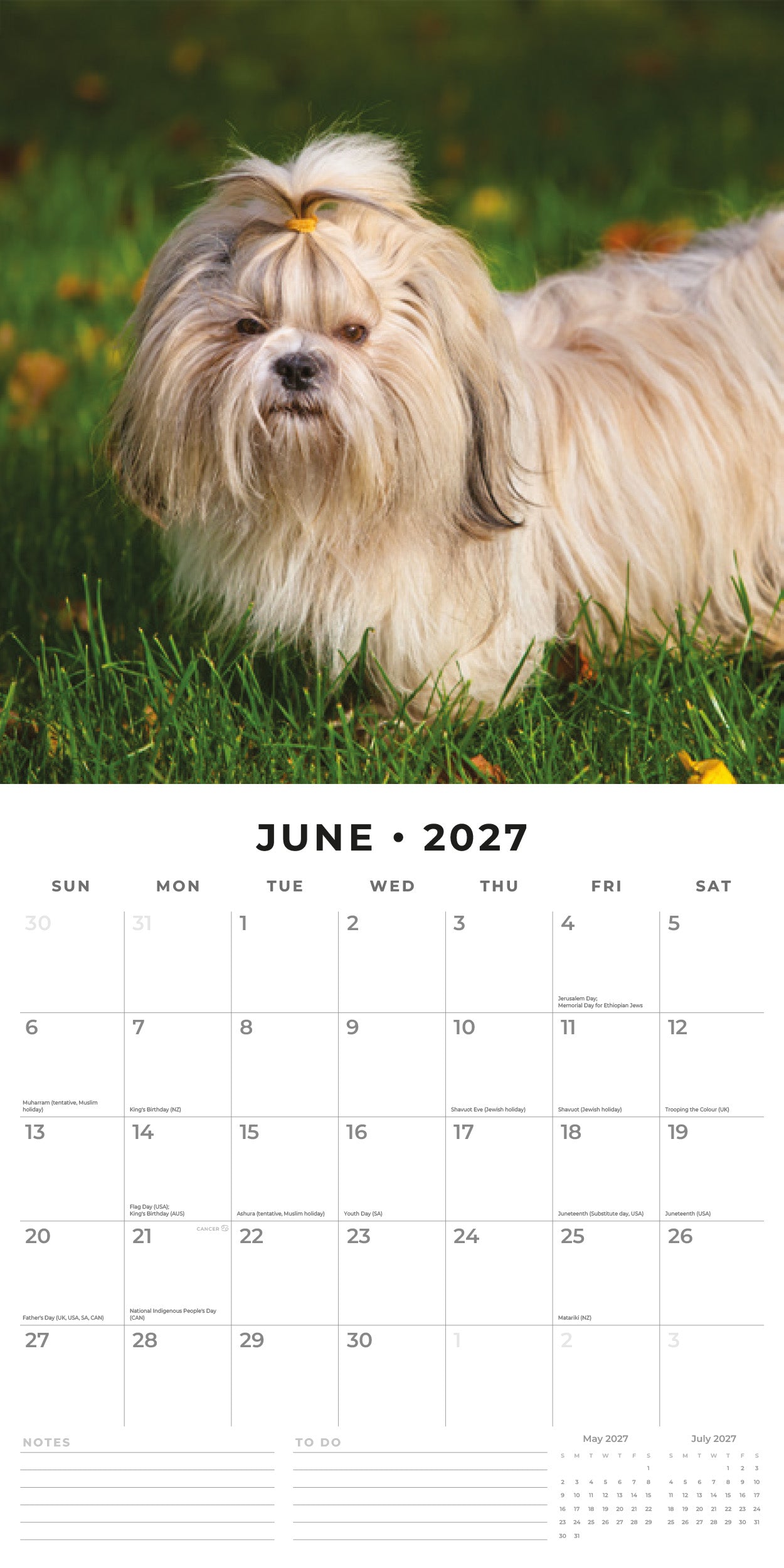 Red Robin 2027 Shih Tzu Monthly Wall Calendar | 12" x 12"