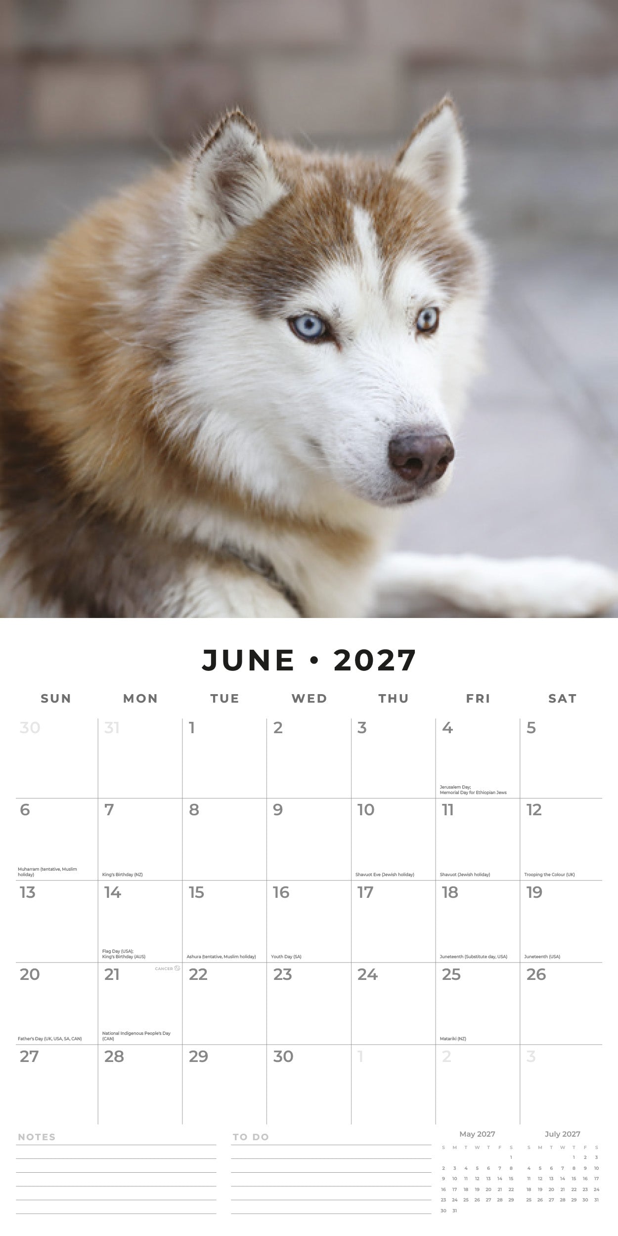Red Robin 2027 Siberian Huskies Monthly Wall Calendar | 12" x 12"
