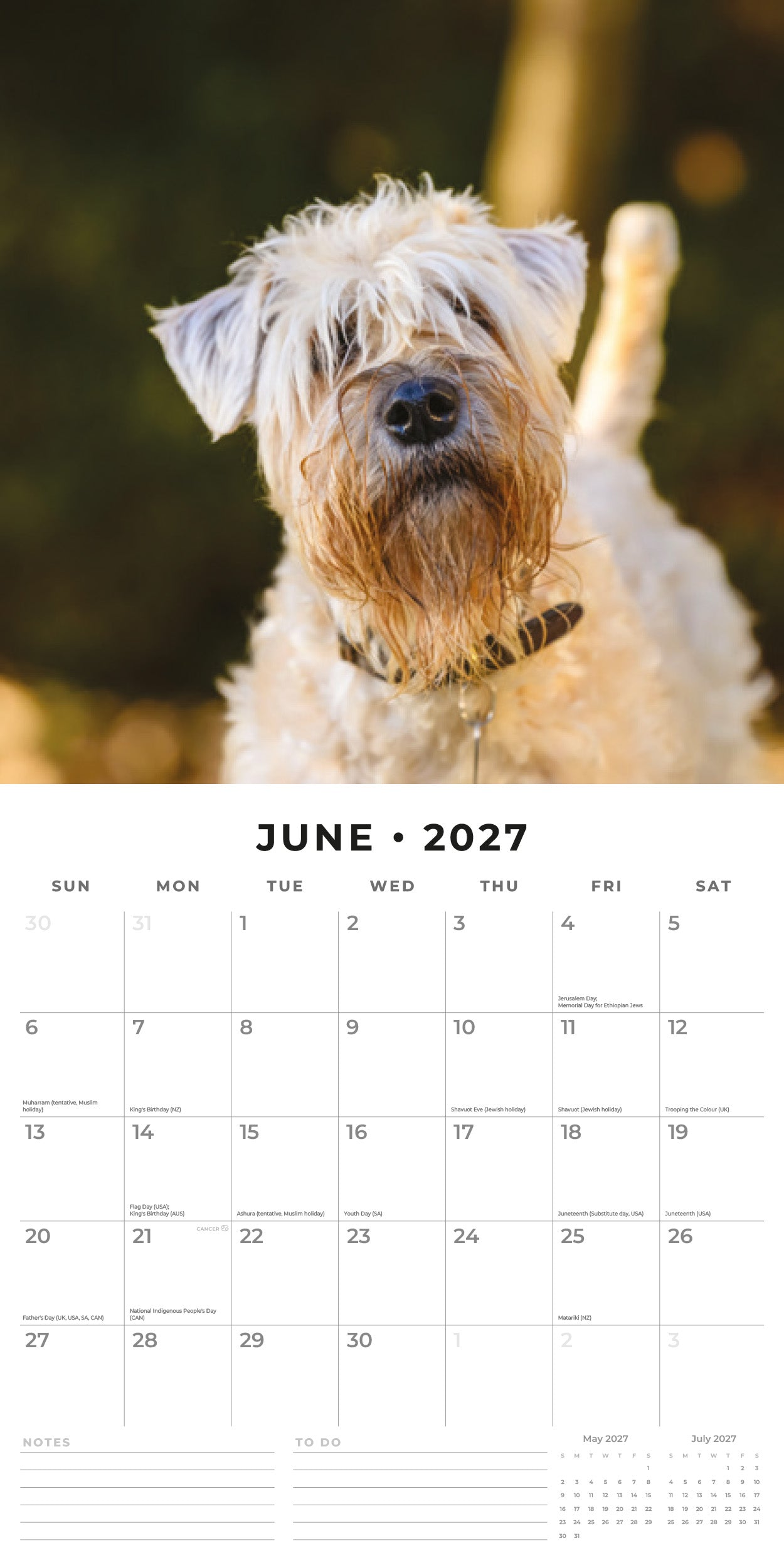 Red Robin 2027 Soft-coated Wheaten Terriers Wall Calendar | 12" x 12"