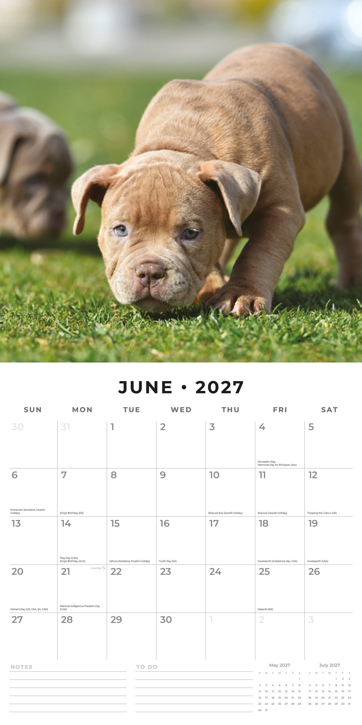 Red Robin 2027 Staffordshire Bull Terrier Puppies Wall Calendar | 12" x 12"